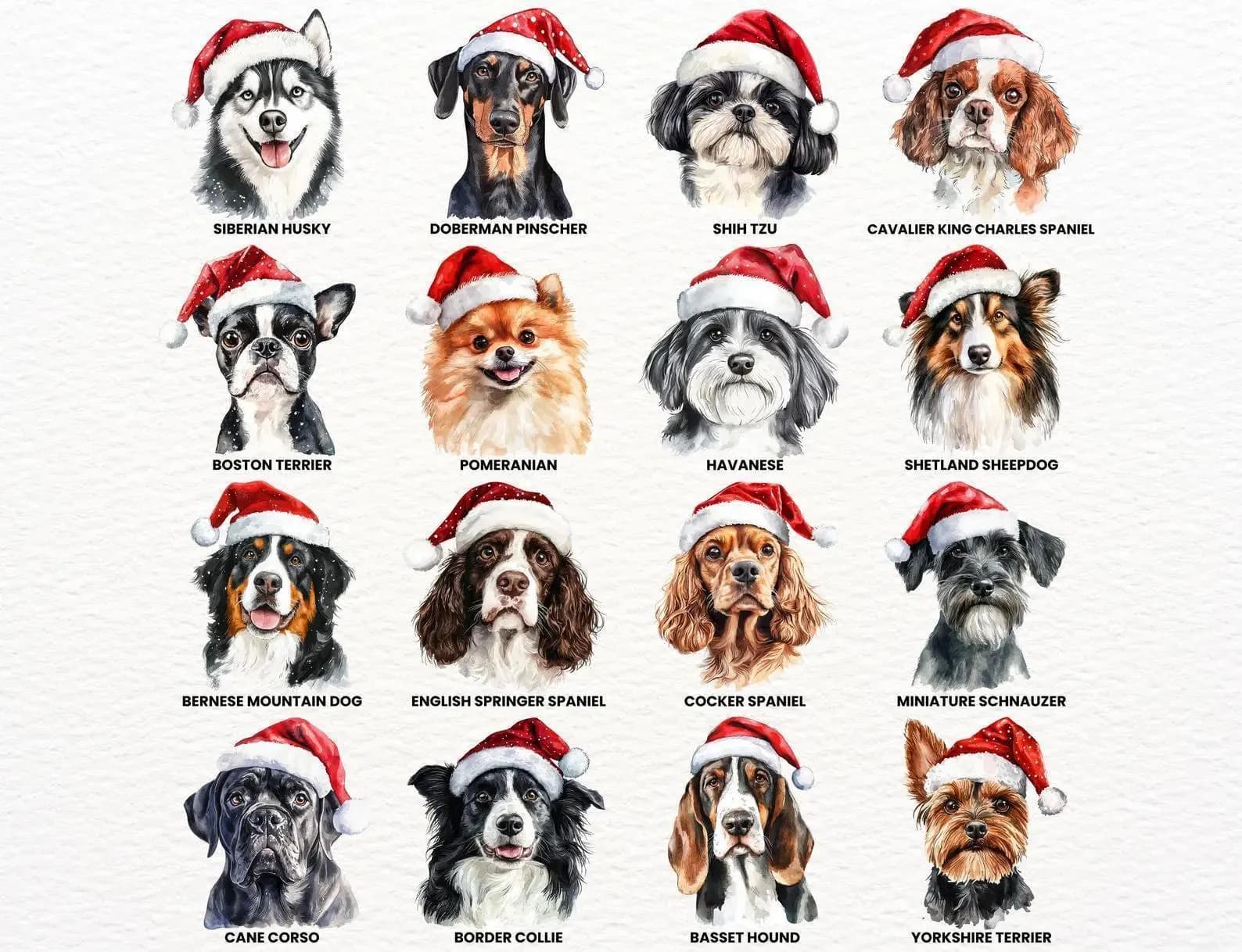 a collage of 12 dog portraits, each wearing a Santa hat, with the names of the breeds written below them.