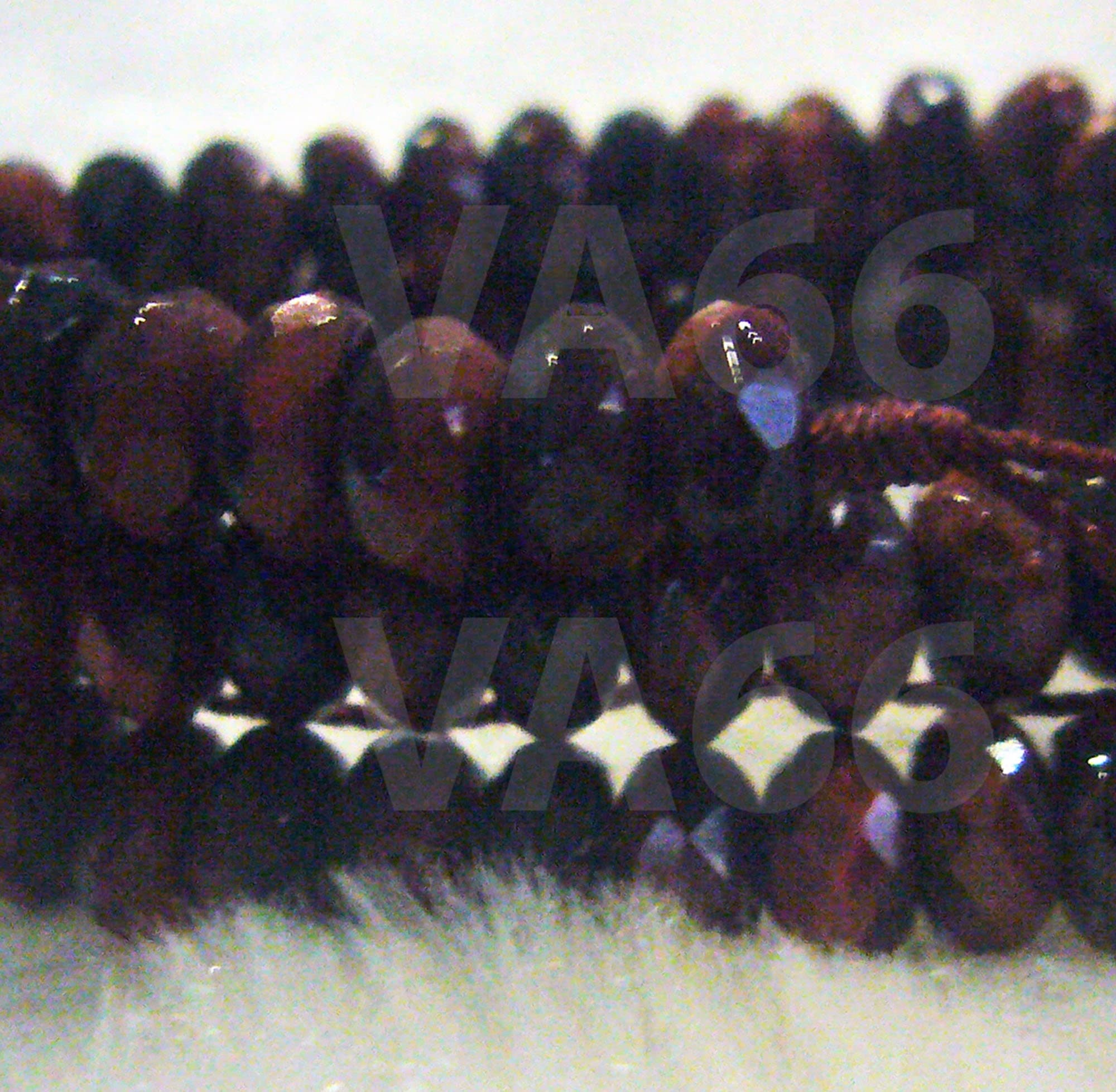 DIY 15" Natural Facetted Red Tiger Eye Donut Spacer 3mm x 6mm Gemstone Chakra Reiki Disc Rondelles Wheel Nugget Healing Jewelry Making Beads - image 3