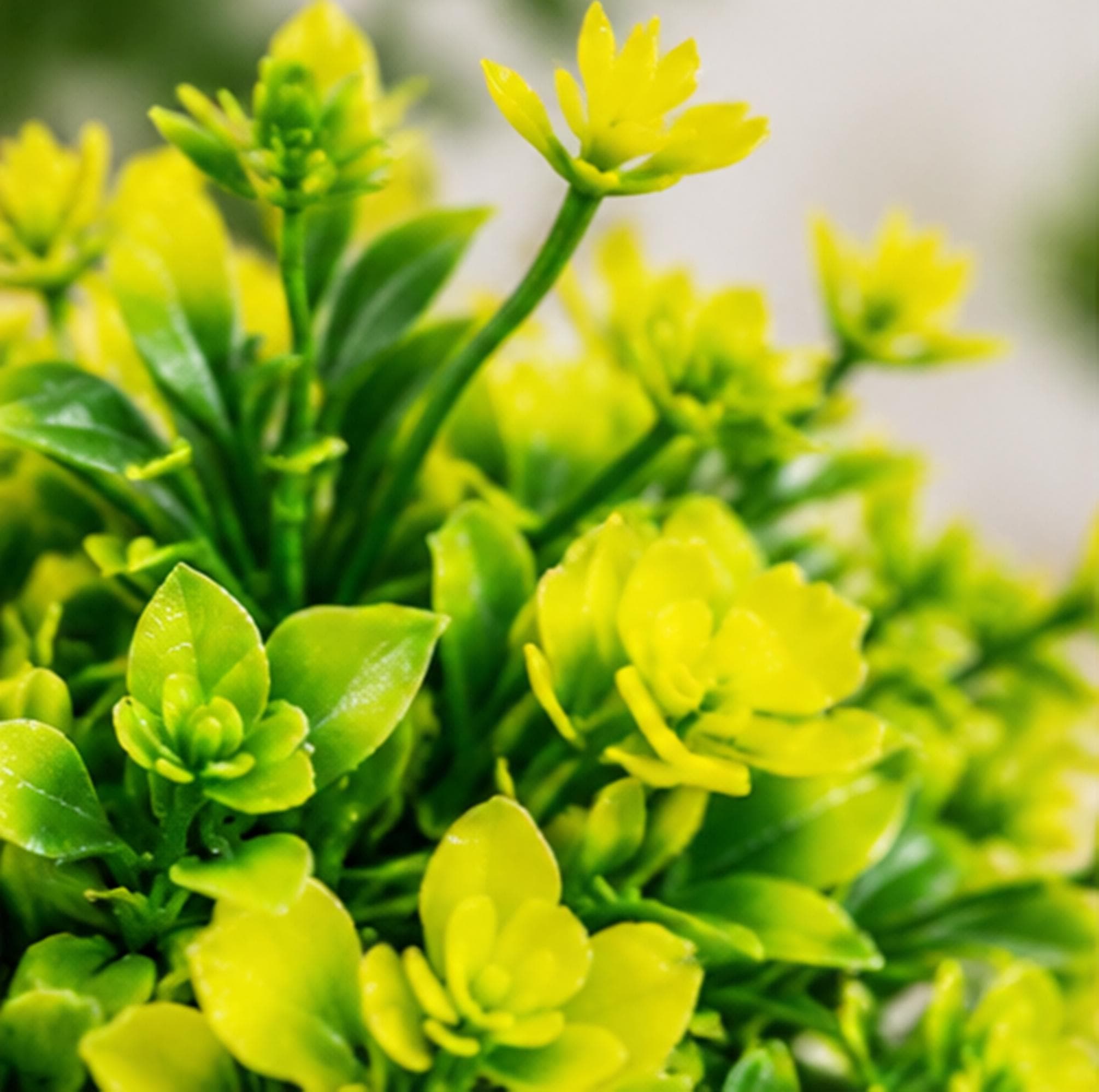 Green & Yellow Small Potted Plants, Artificial Mini Tropical Foliage in White Pots - image 4