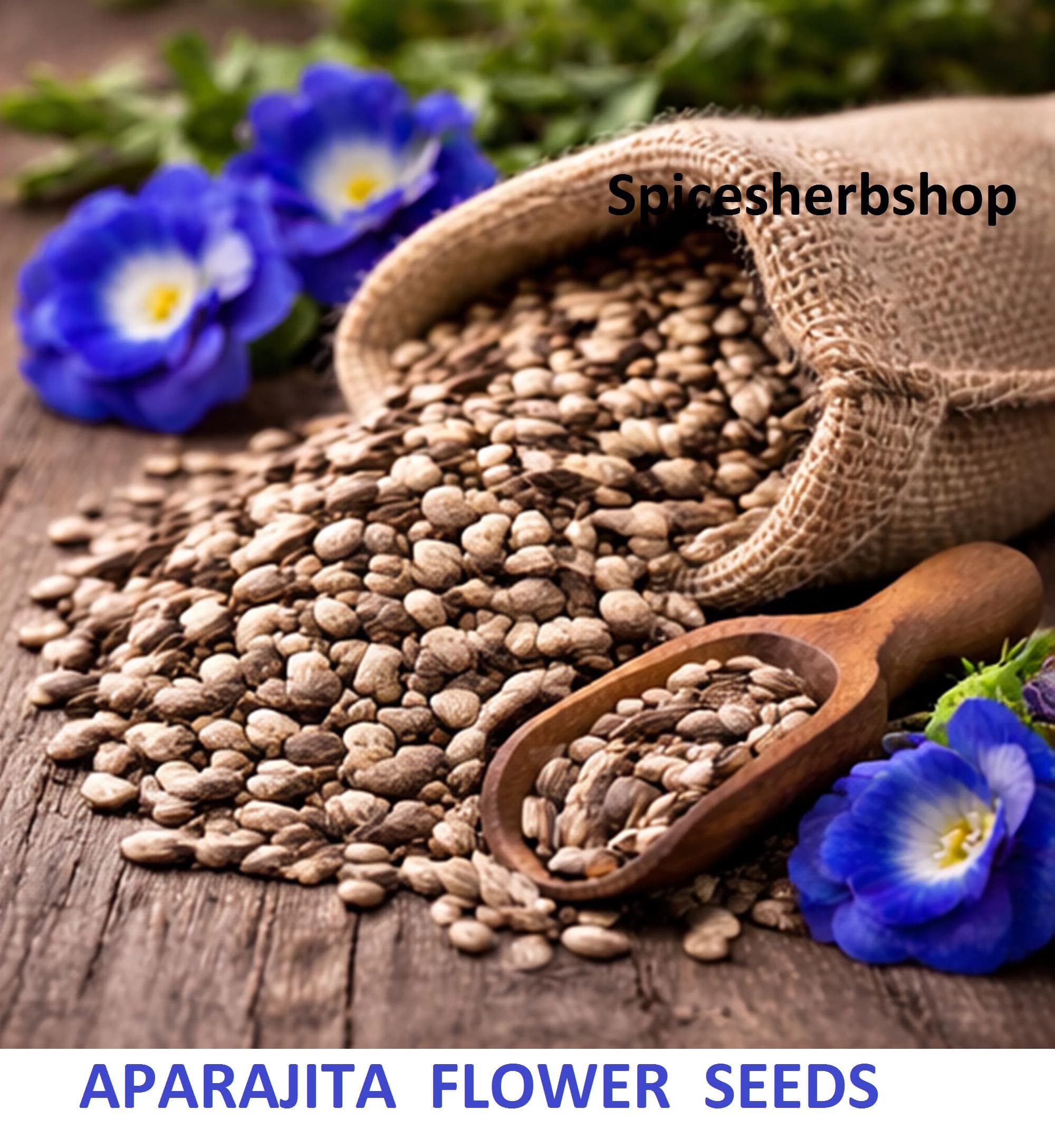 25+ Seeds Aparajita Seeds Butterfly Pea Flower Tea Plant Edible Seed Garden Climber - image 3