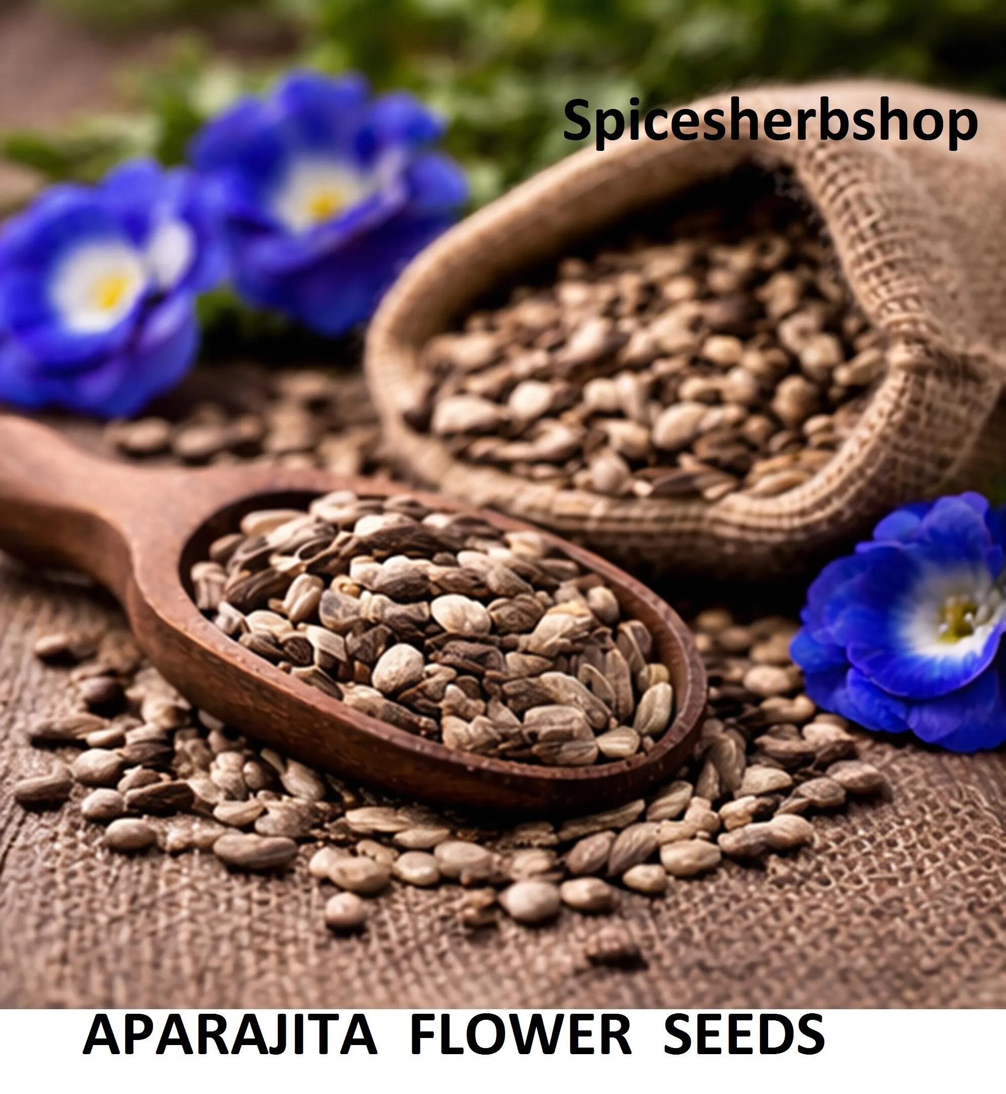 25+ Seeds Aparajita Seeds Butterfly Pea Flower Tea Plant Edible Seed Garden Climber - image 2