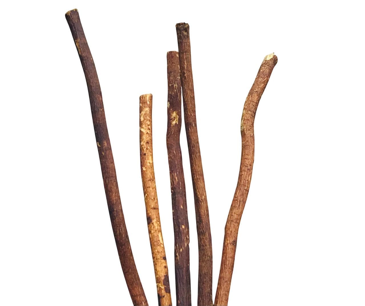 Organic Miswak Sticks: Natural Herbal Toothbrush (12 Pcs) - image 3