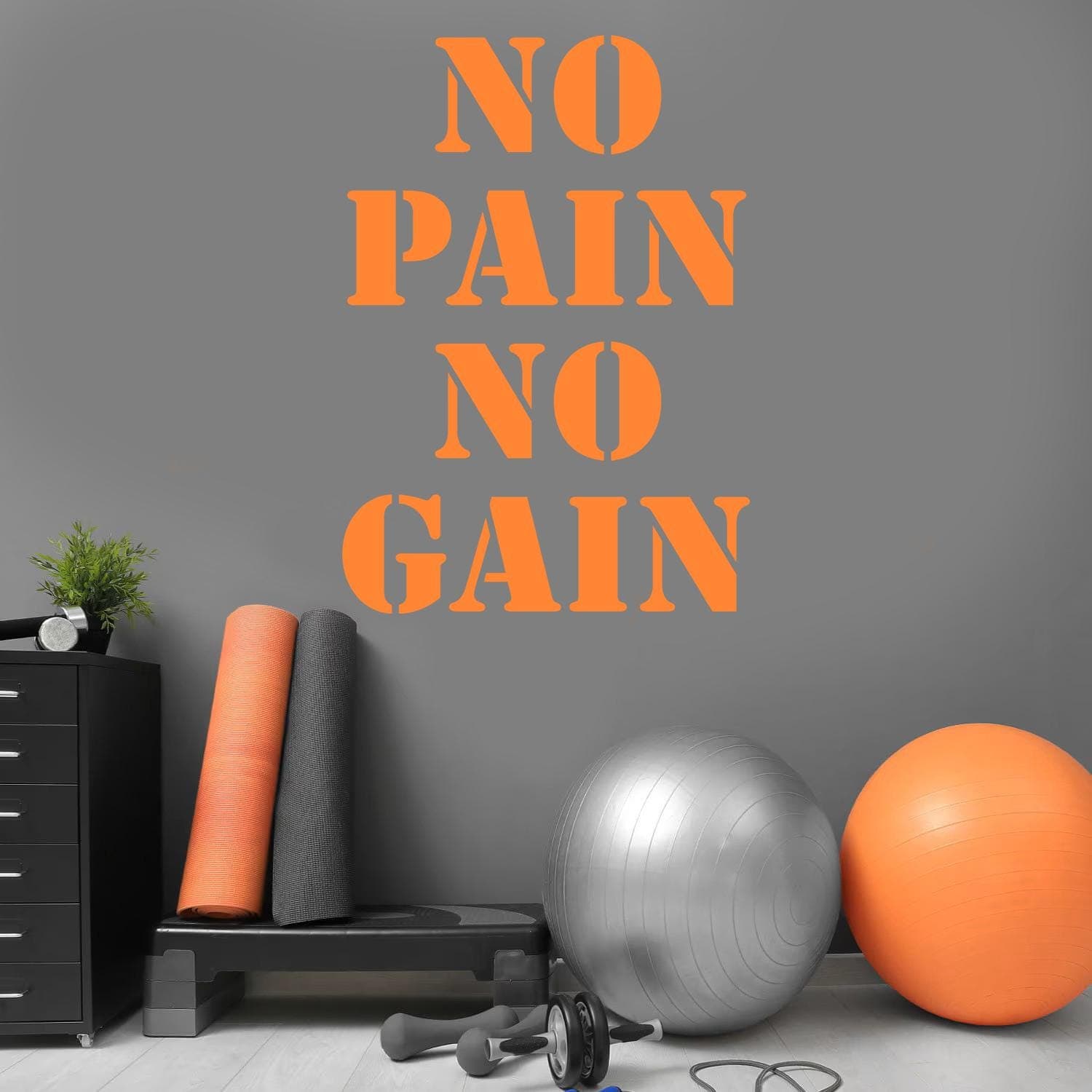 No Pain No Gain Vinyl Wall Decal | Gym Motivation Quote Wall Sticker  NPNG S - image 5