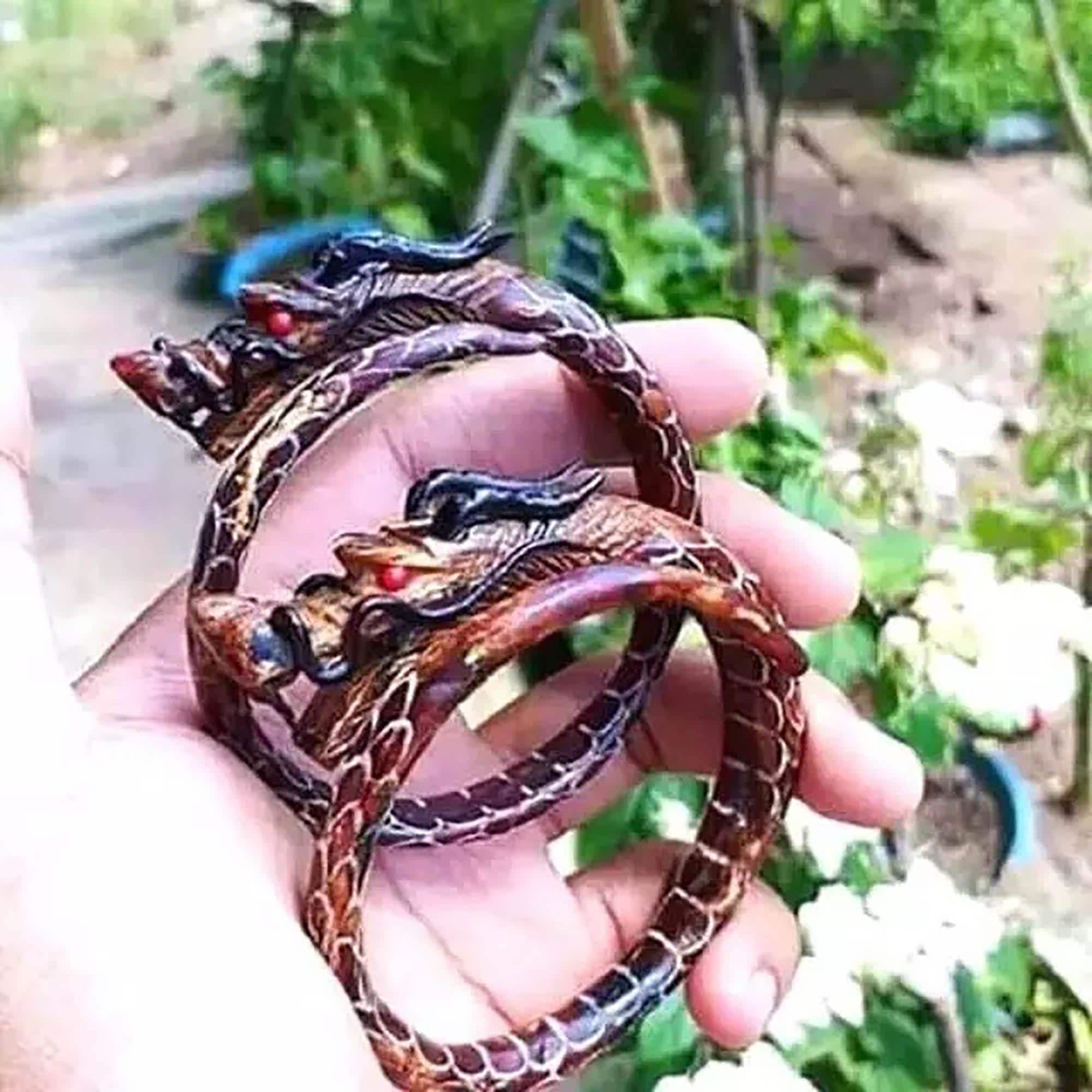 Hand-Carved Dragon Bahar Root Bracelet | Indonesian Amulet
