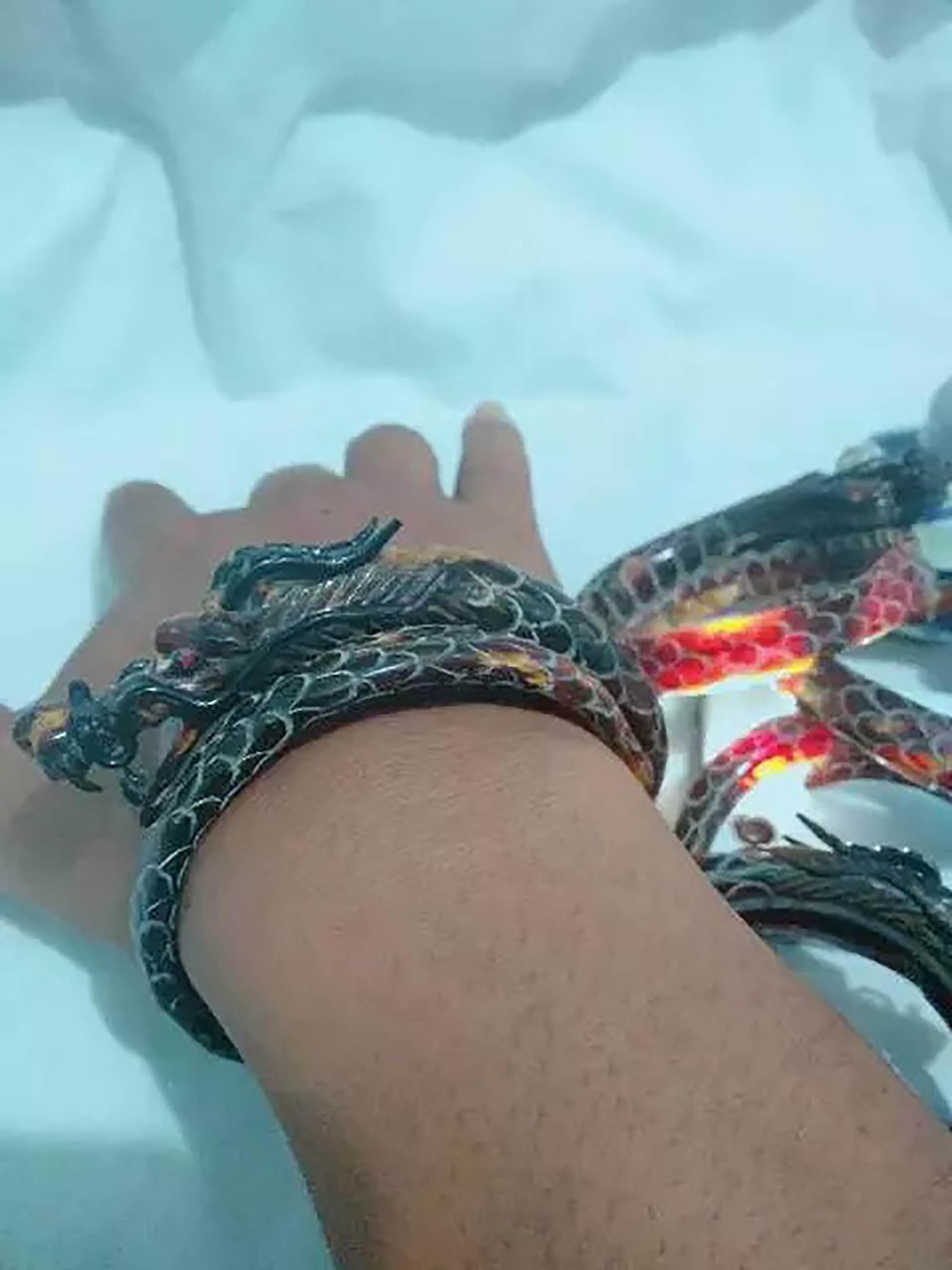 Hand-Carved Dragon Bahar Root Bracelet | Indonesian Amulet - image 3