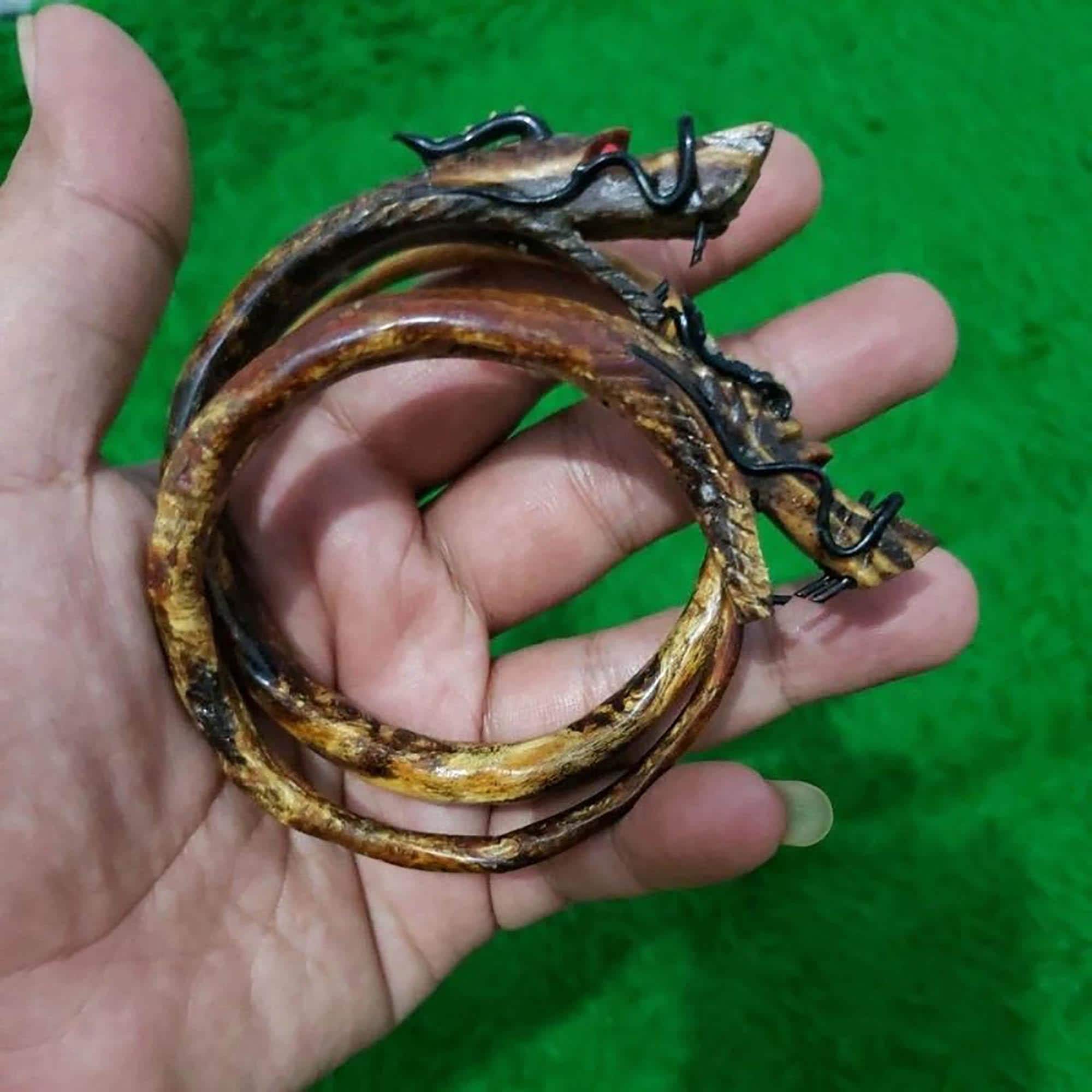 Red Brahma Black Coral Bangle | Hand-Carved Dragon Sea Root Bracelet - image 3