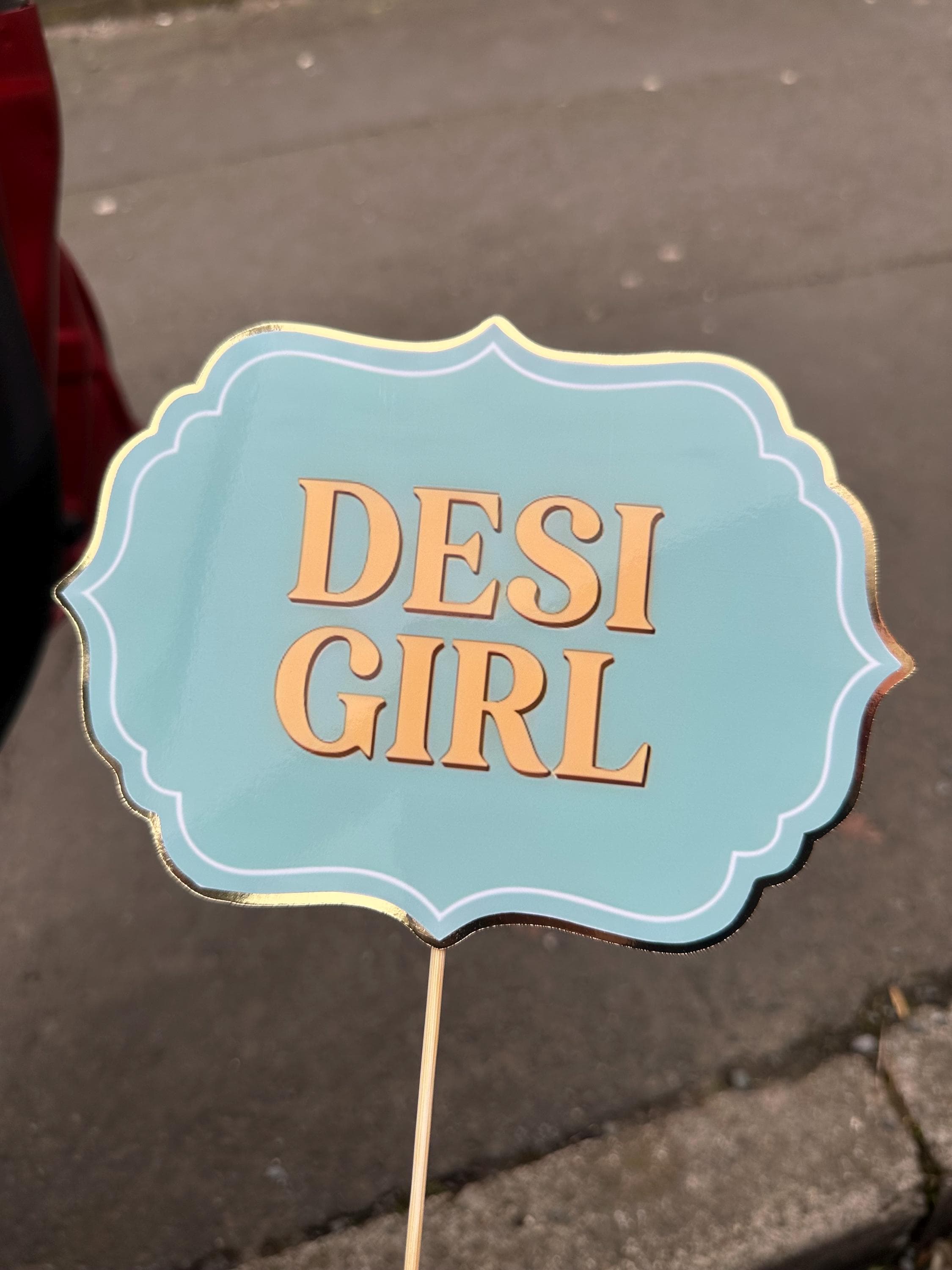Desi Wedding Photo Booth Props, Mehndi Dholki Signs, Pakistani Indian Celebration Decor - image 5