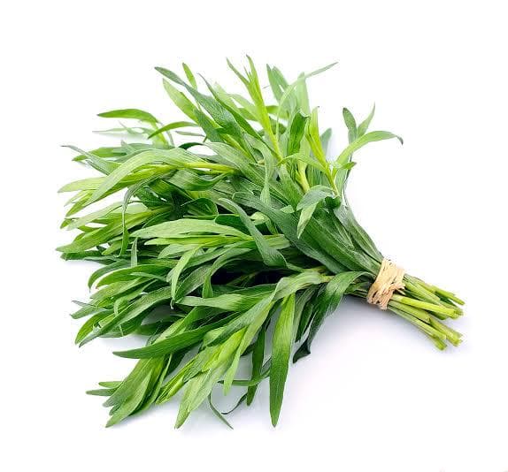 French Tarragon, Artemesia dracunculus, 200 Seeds. Premium Culinary Herb. Perennial. - image 5