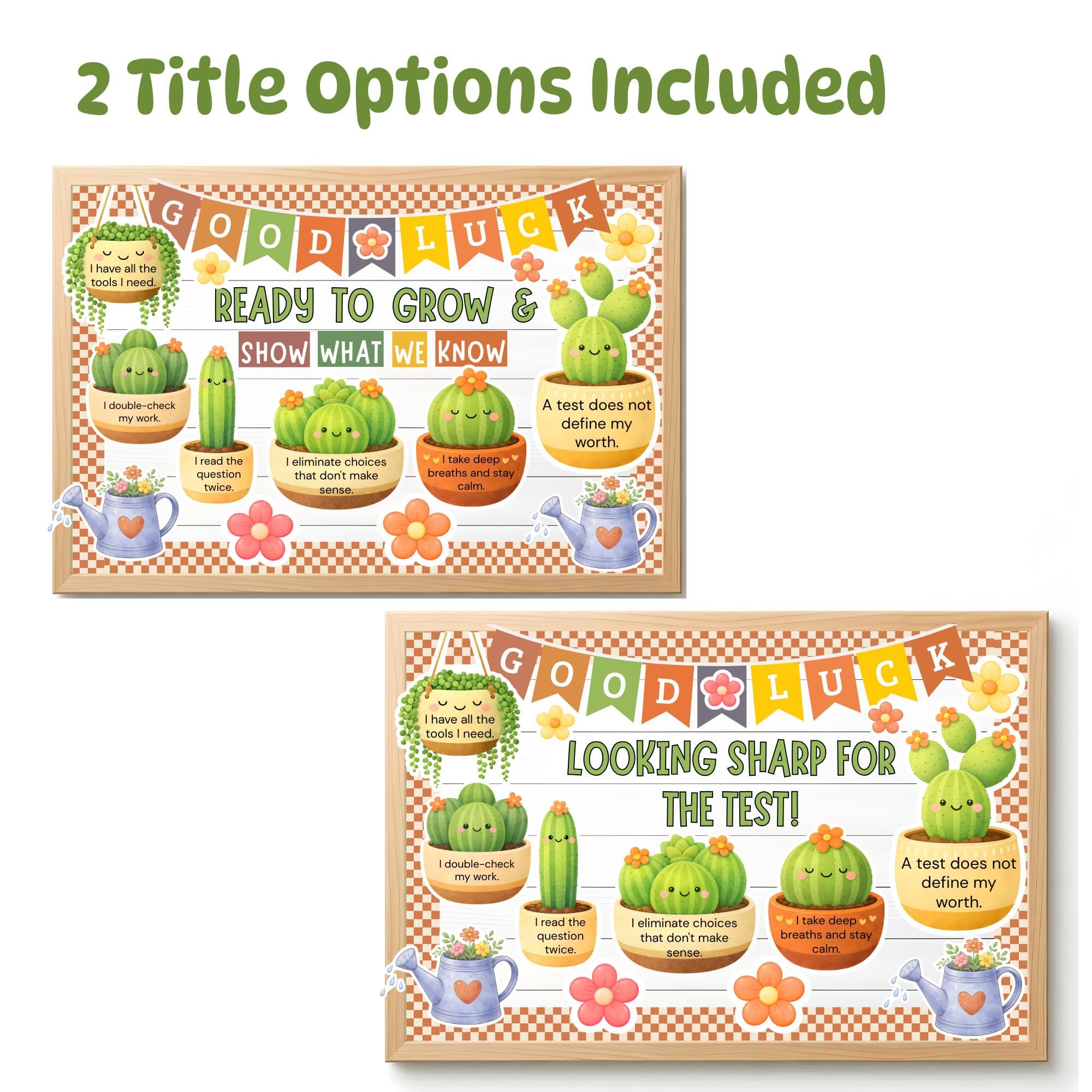 Testing Bulletin Board Kit, Cactus Classroom Decor, Growth Mindset Posters, Test Motivation Printable, End of Year Bulletin board Display - image 3