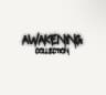 AwakeningPrintz