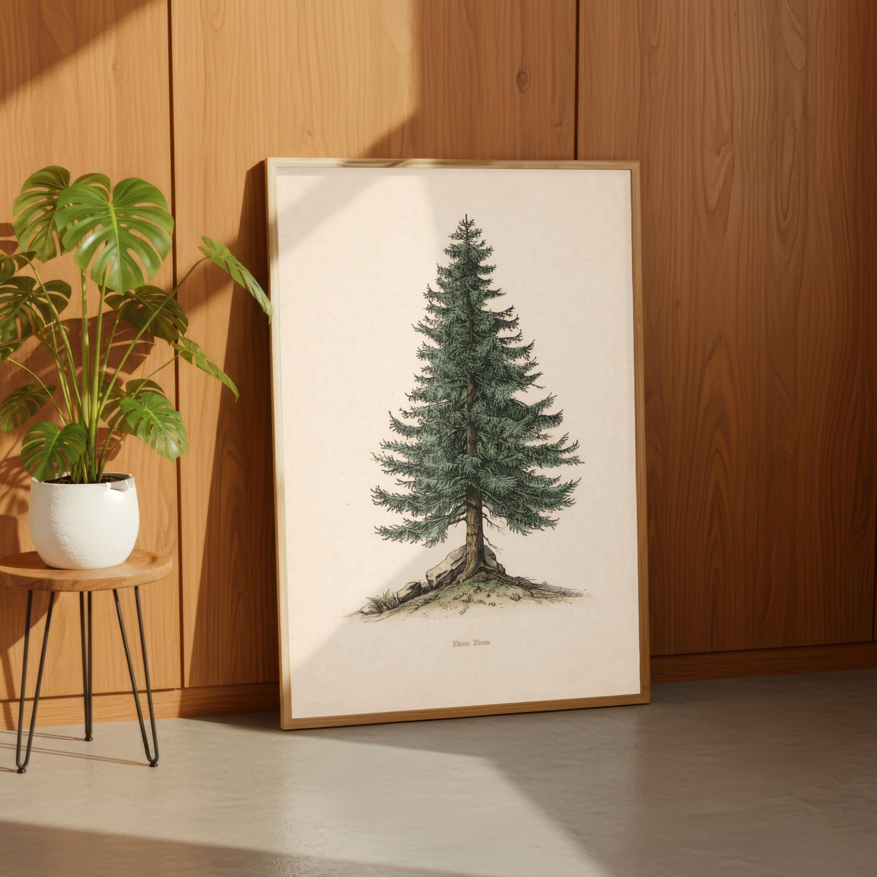 Vintage Pine Tree Print, Botanical Illustration, Evergreen Art, Spruce Poster - image 4