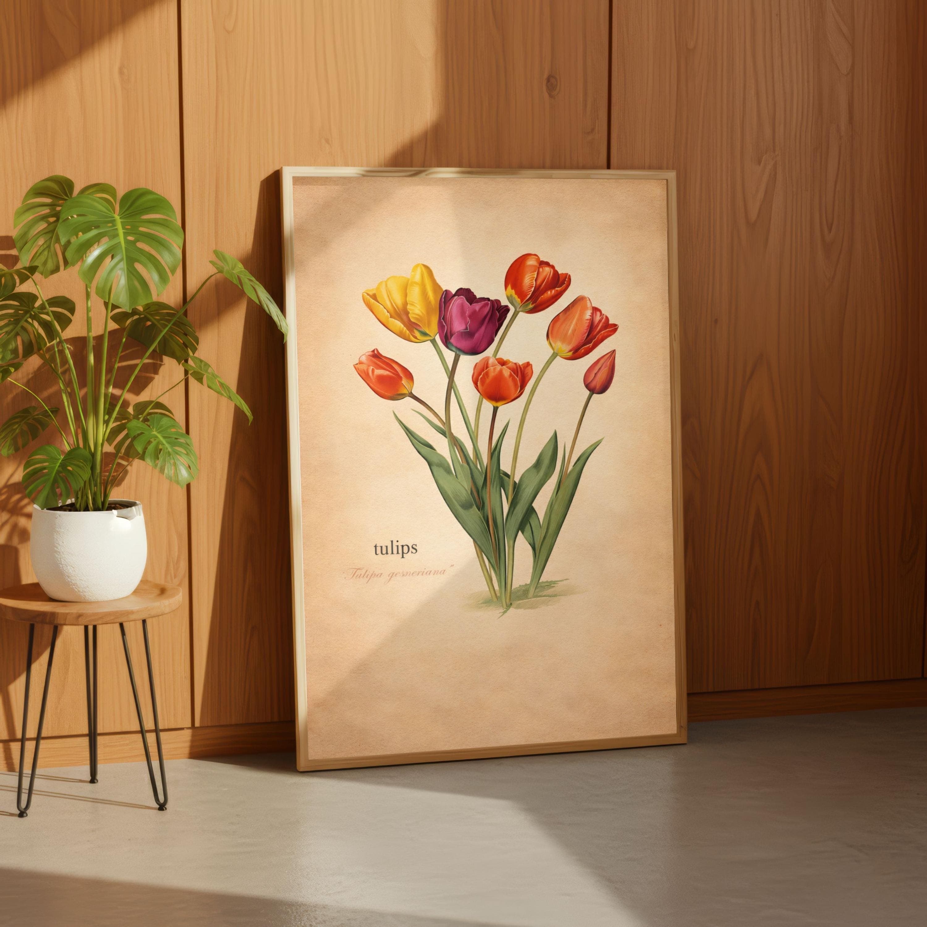 Tulipa Gesneriana Wall Art, Vintage Botanical Tulip Print, Cottagecore Floral - image 4