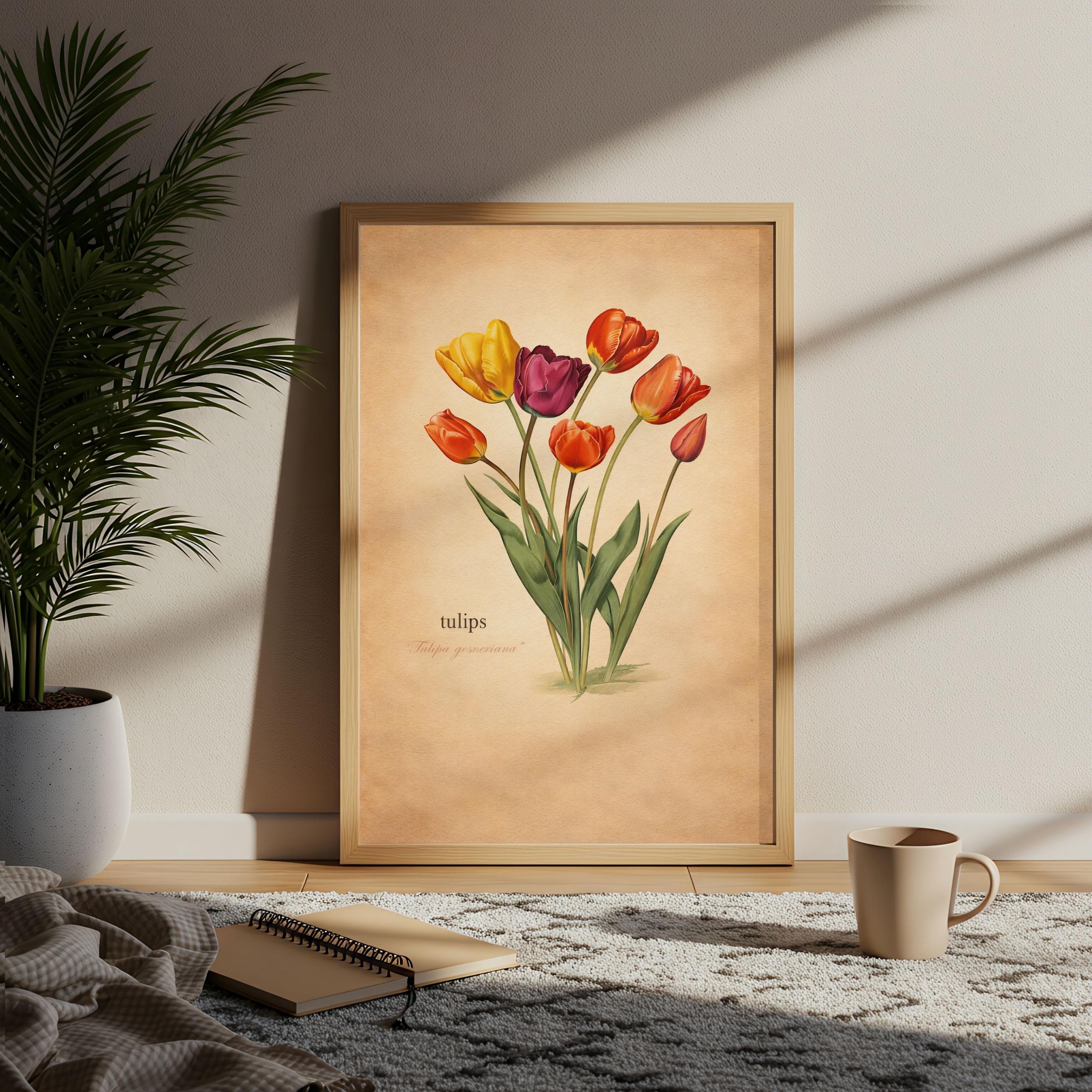 Tulipa Gesneriana Wall Art, Vintage Botanical Tulip Print, Cottagecore Floral - image 5