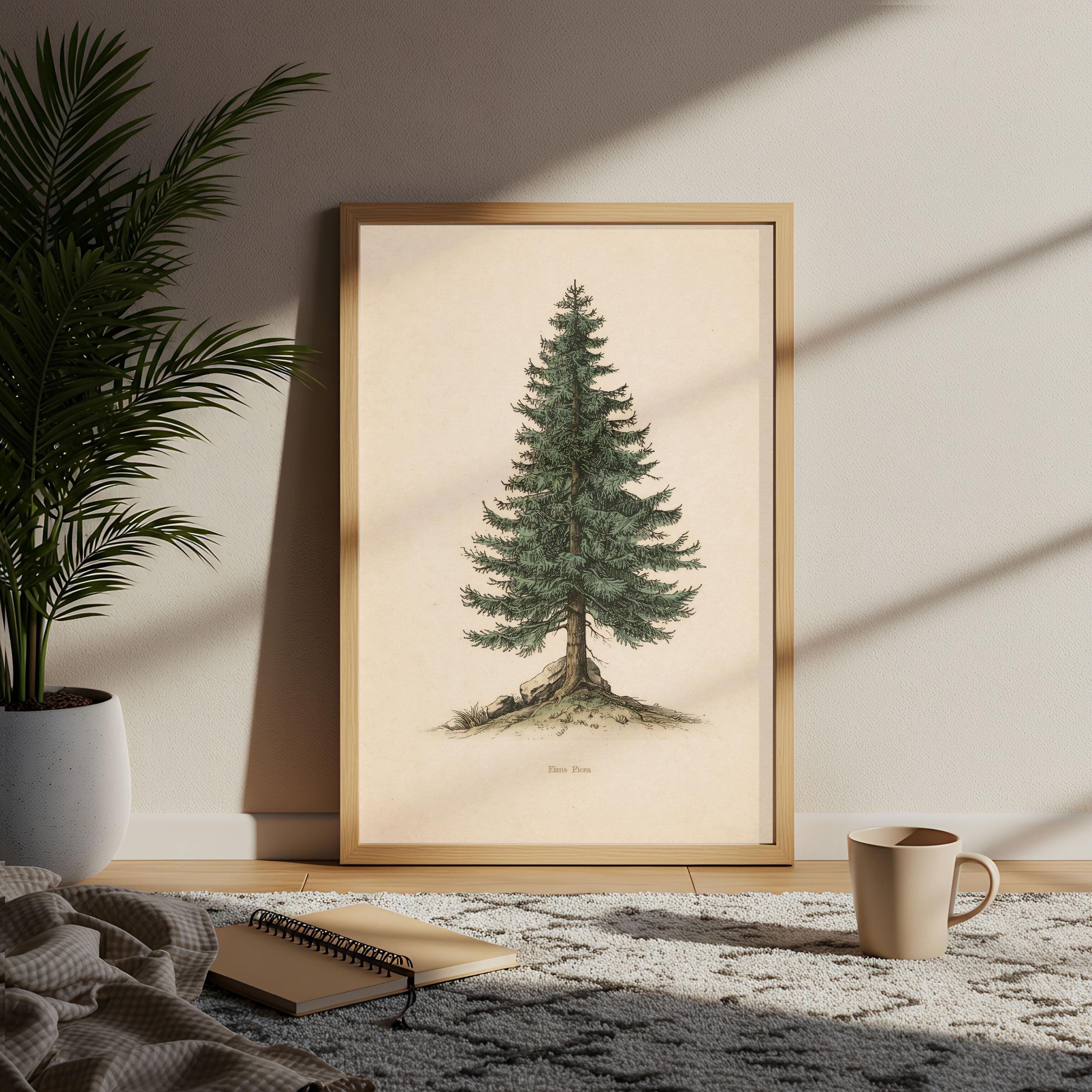 Vintage Pine Tree Print, Botanical Illustration, Evergreen Art, Spruce Poster - image 5