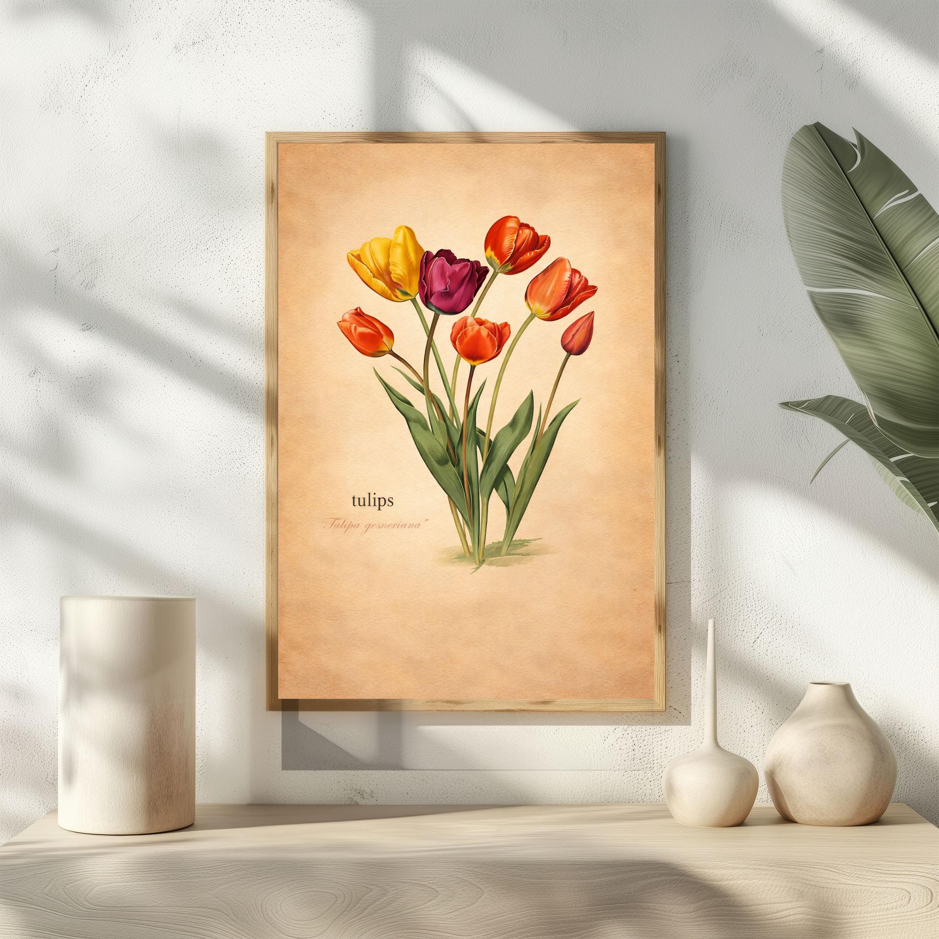 Tulipa Gesneriana Wall Art, Vintage Botanical Tulip Print, Cottagecore Floral