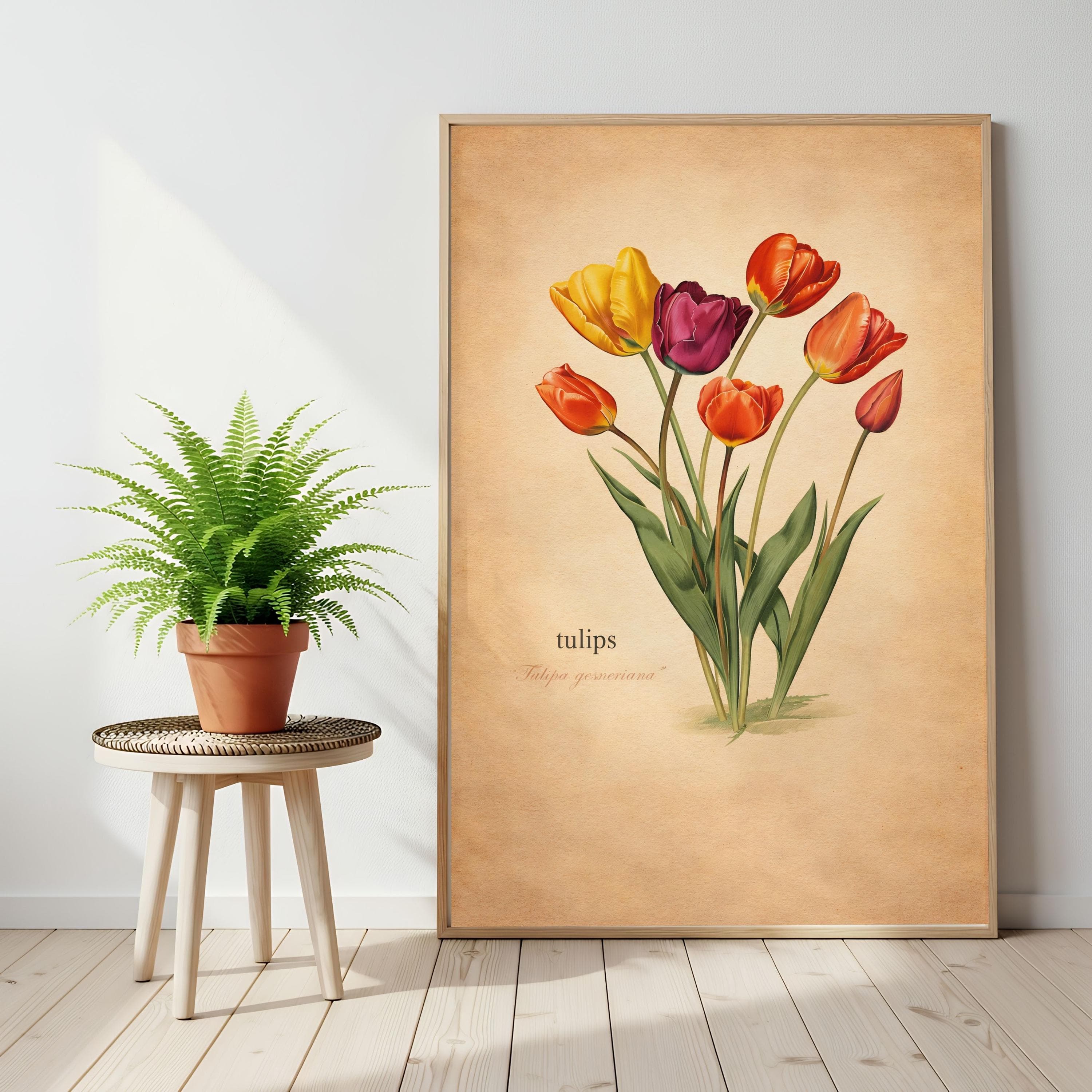 Tulipa Gesneriana Wall Art, Vintage Botanical Tulip Print, Cottagecore Floral - image 3