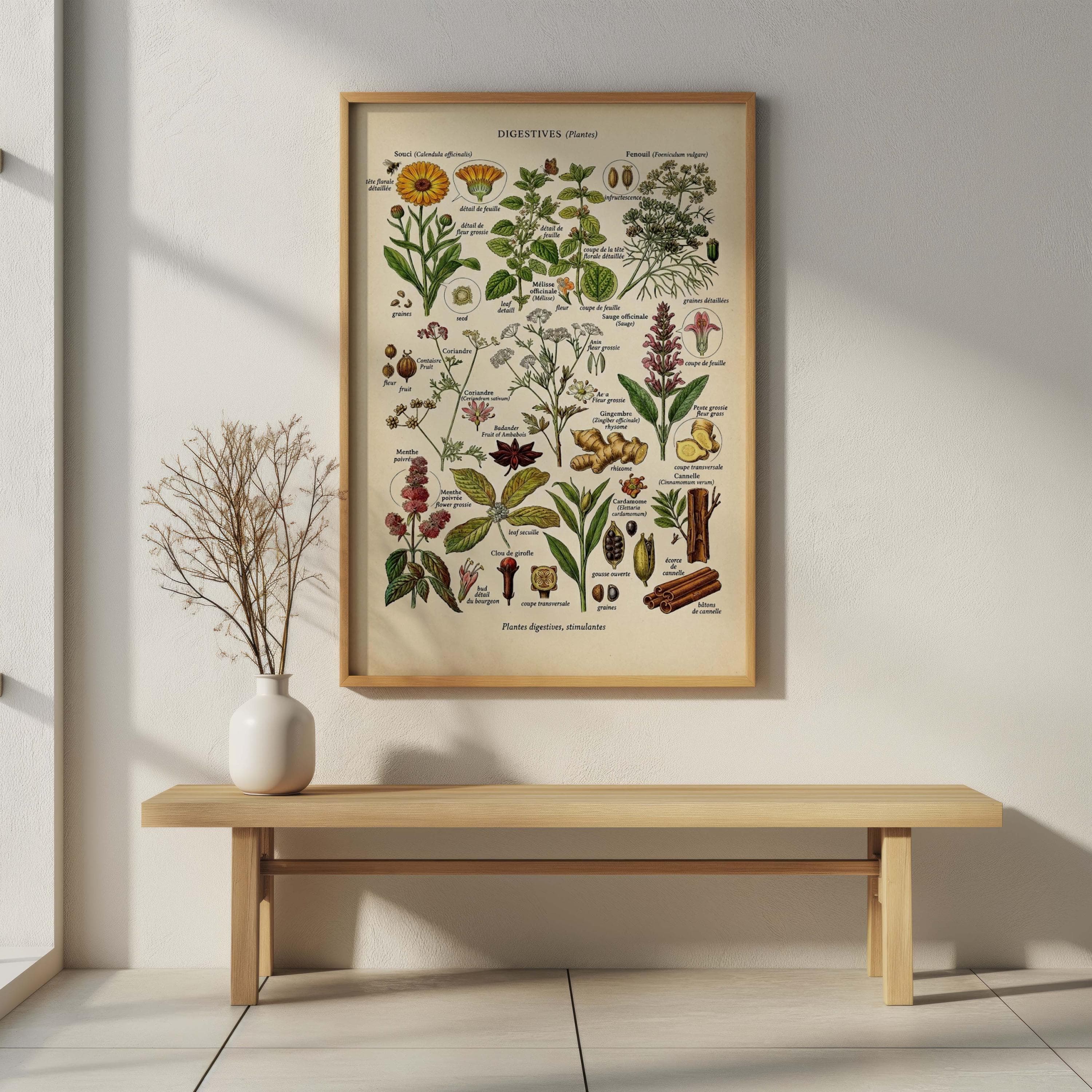 Vintage French Herb Chart Print, Medicinal Plants Botanical Poster, Kitchen Decor - image 5