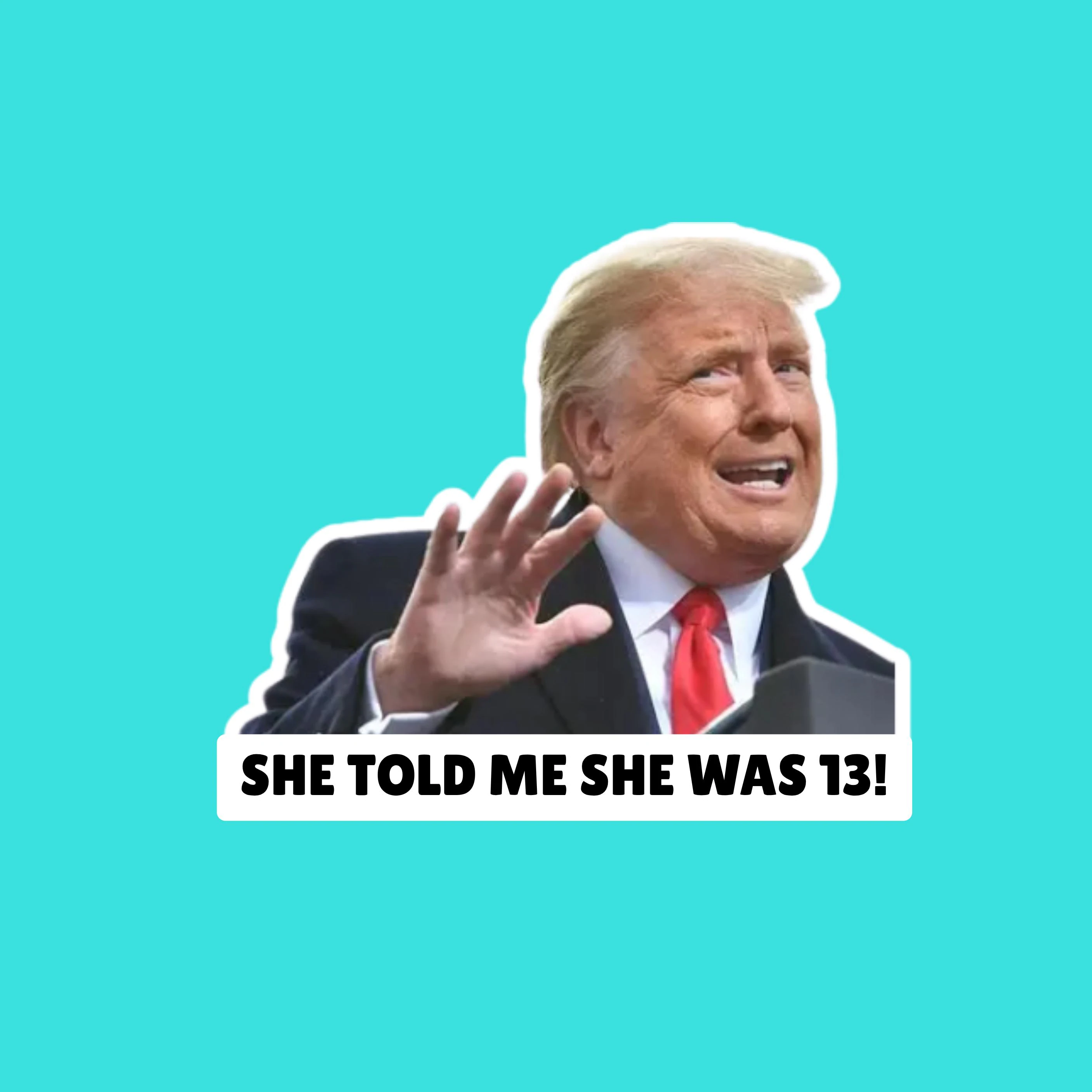 She Said She Was 13 Trump Pedophile Waterproof Sticker | Anti-MAGA, Political Activism, Epstein
