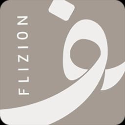 Flizions