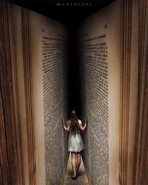 Magical Book Forest Fantasy | Girl Entering a Storybook World - image 3