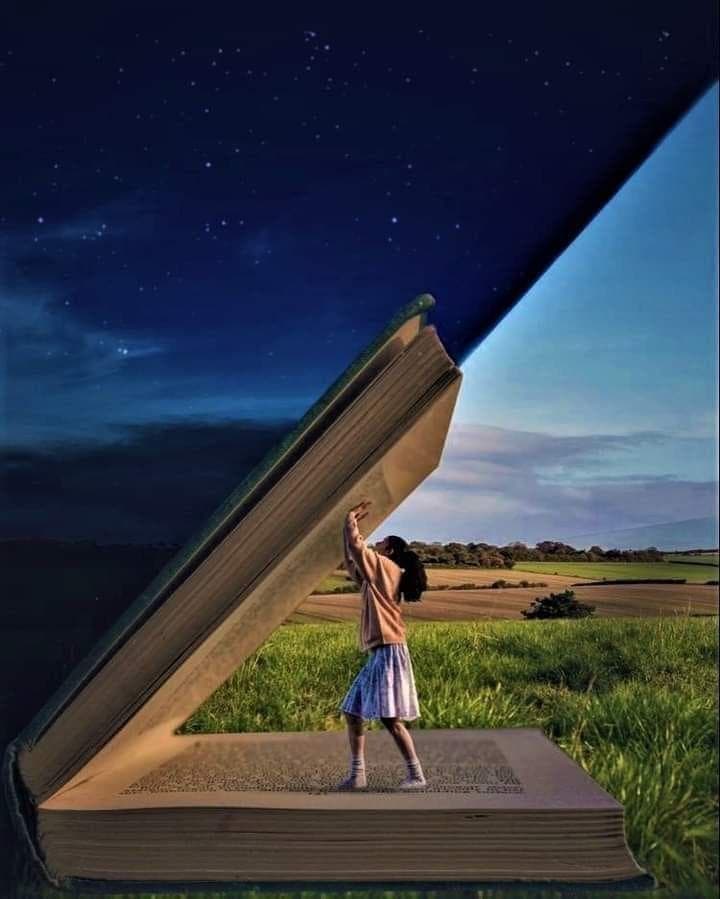 Magical Book Forest Fantasy | Girl Entering a Storybook World - image 4