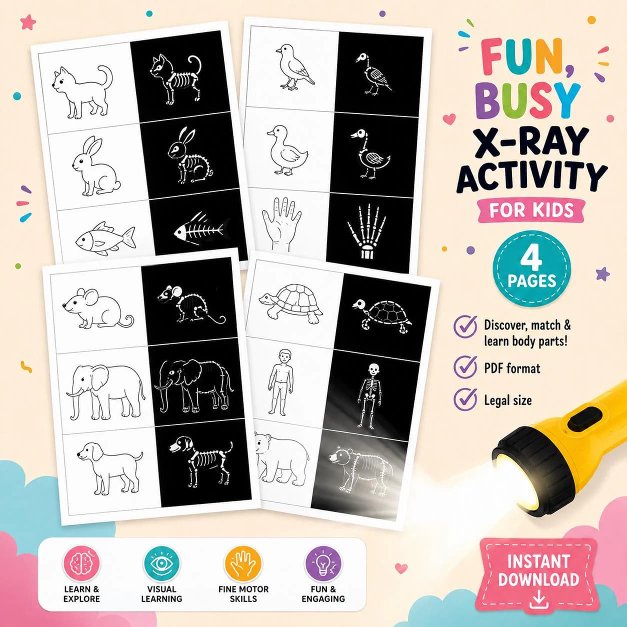Xray fun Activity for Kids | Printable Human Body Worksheet | Anatomy Busy Book | Montessori Science | Preschool and Kindergarten