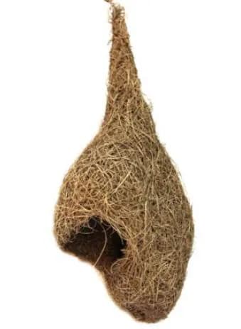 Original Abandoned Bird Nest | Natural Eco Home Decor - image 4