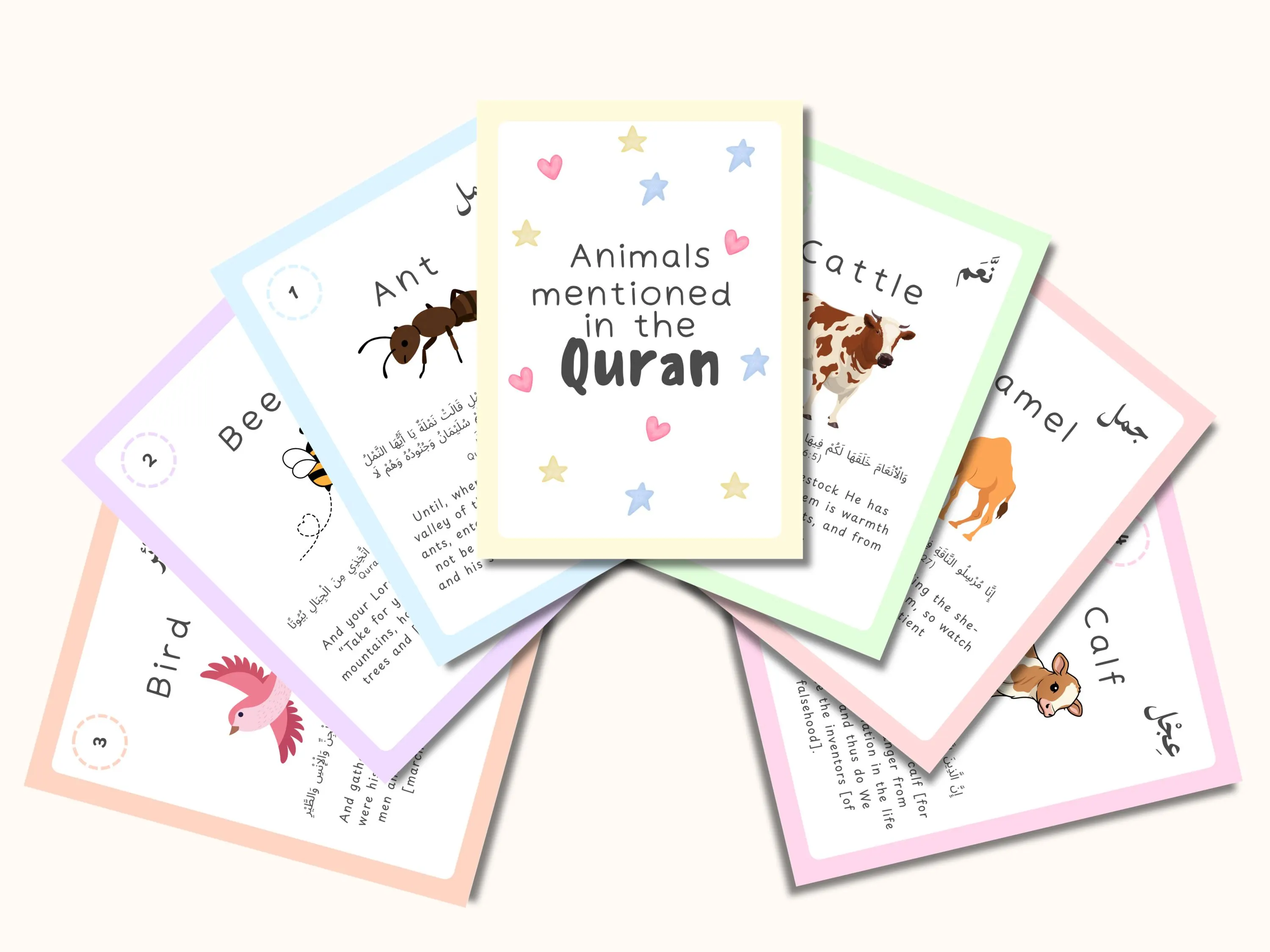 Animals in the Quran Flashcards for Kids | Islamic Learning Cards | Muslim Children Educational Resource | Arabic English Learning