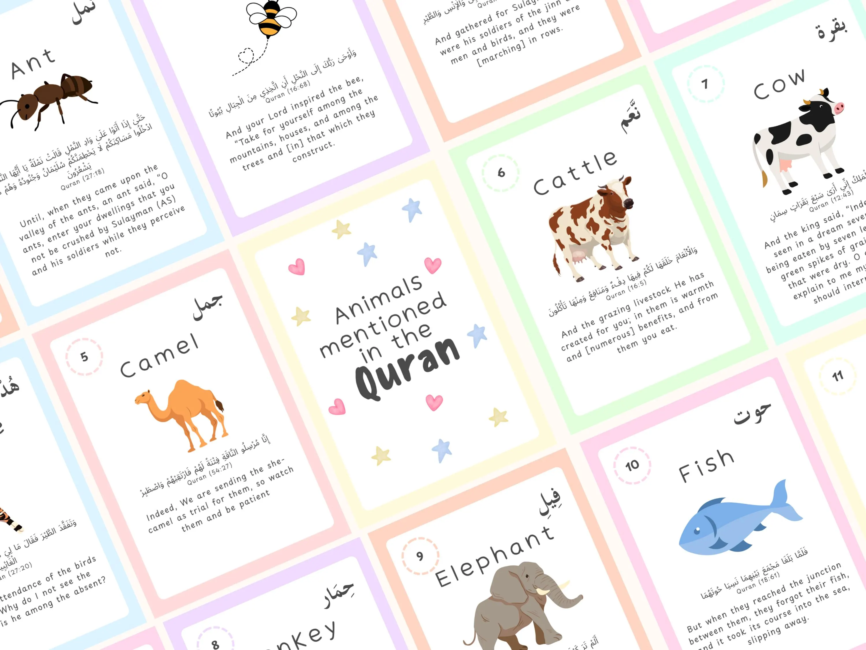Animals in the Quran Flashcards for Kids | Islamic Learning Cards | Muslim Children Educational Resource | Arabic English Learning - image 3