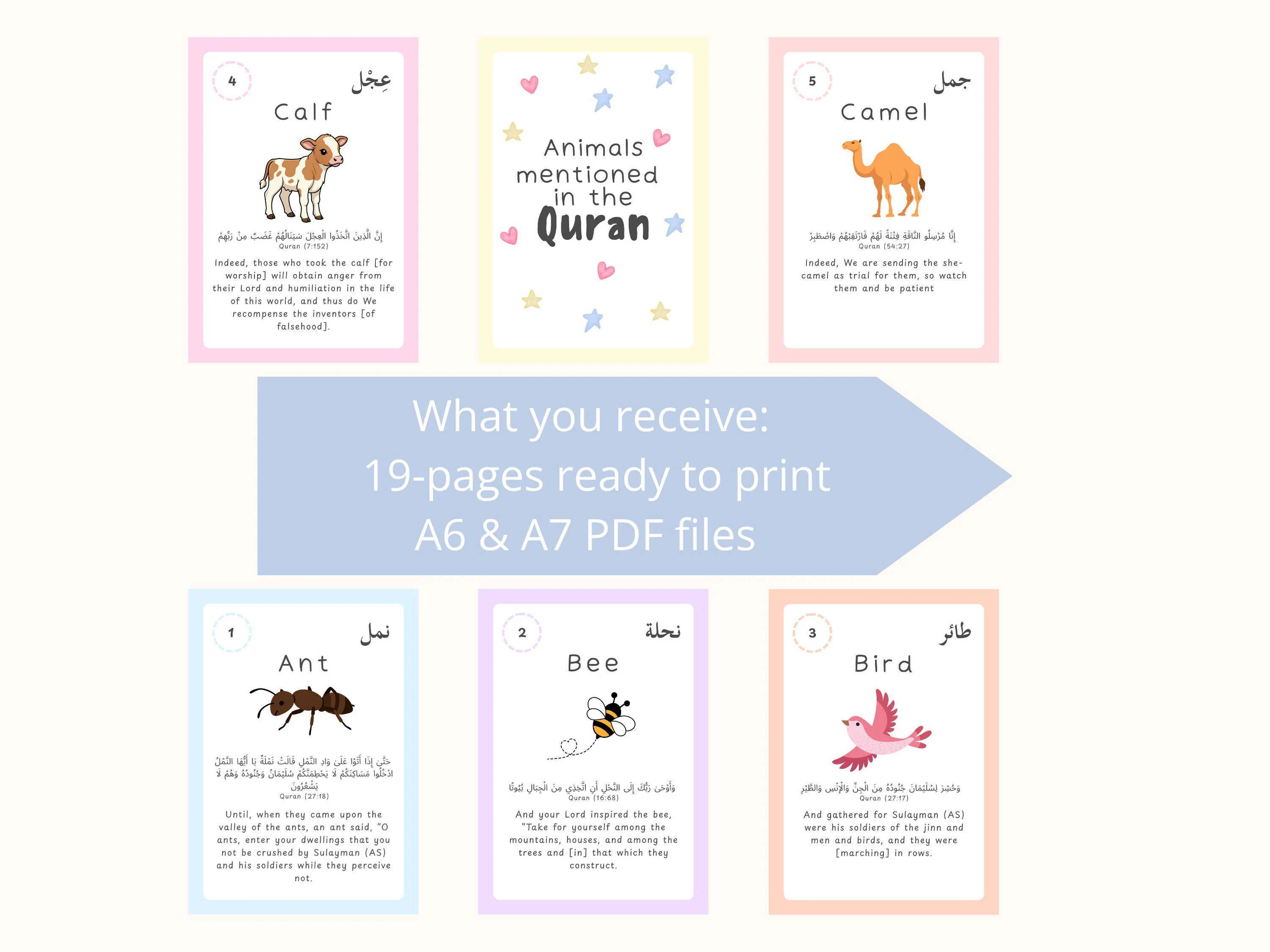 Animals in the Quran Flashcards for Kids | Islamic Learning Cards | Muslim Children Educational Resource | Arabic English Learning - image 5