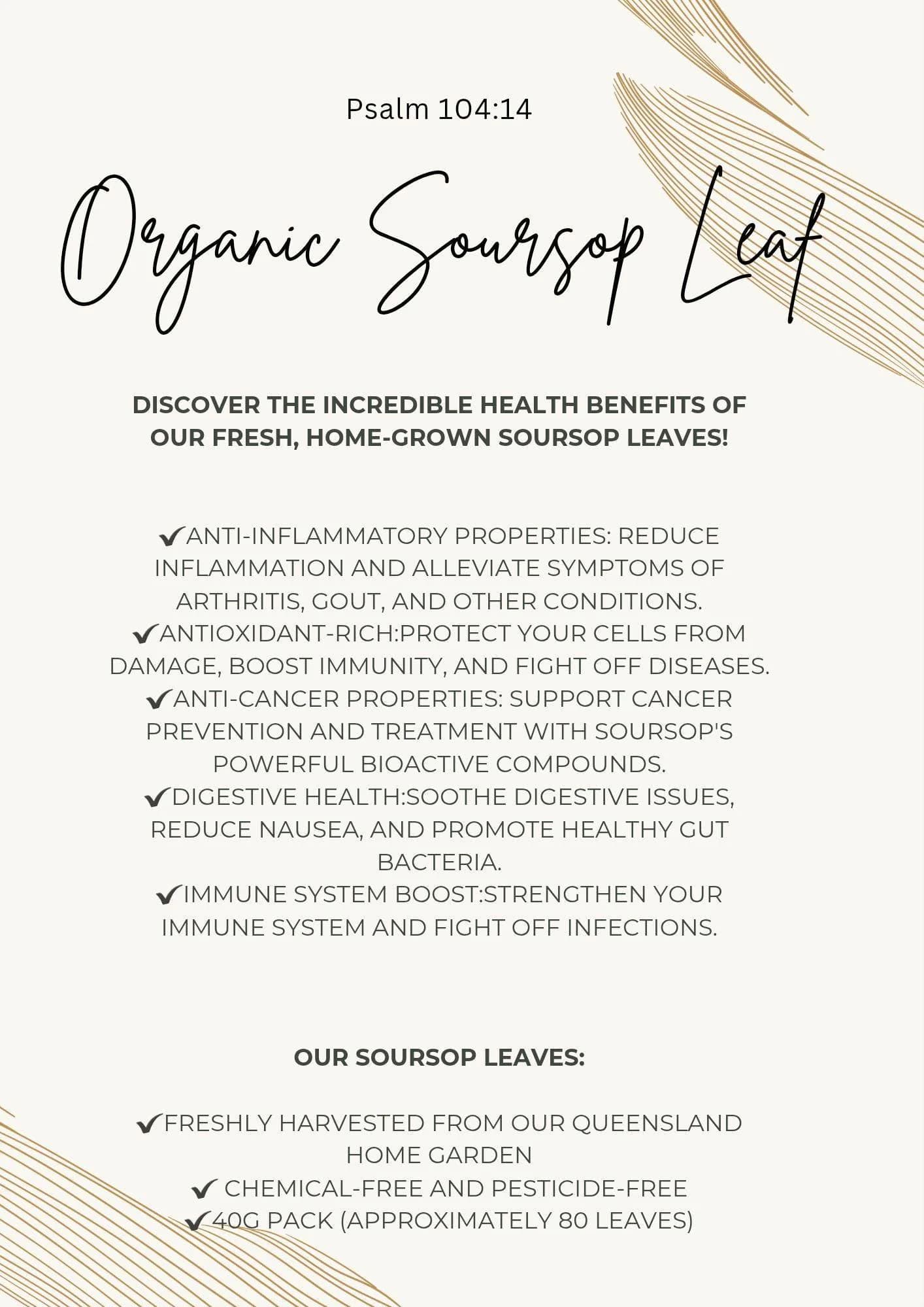 Organic Soursop whole leaves - image 5