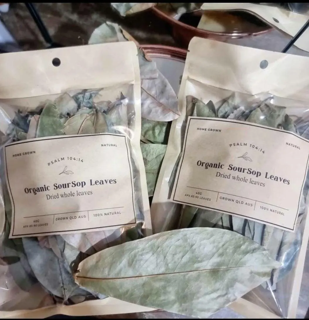 Organic Soursop whole leaves - image 3
