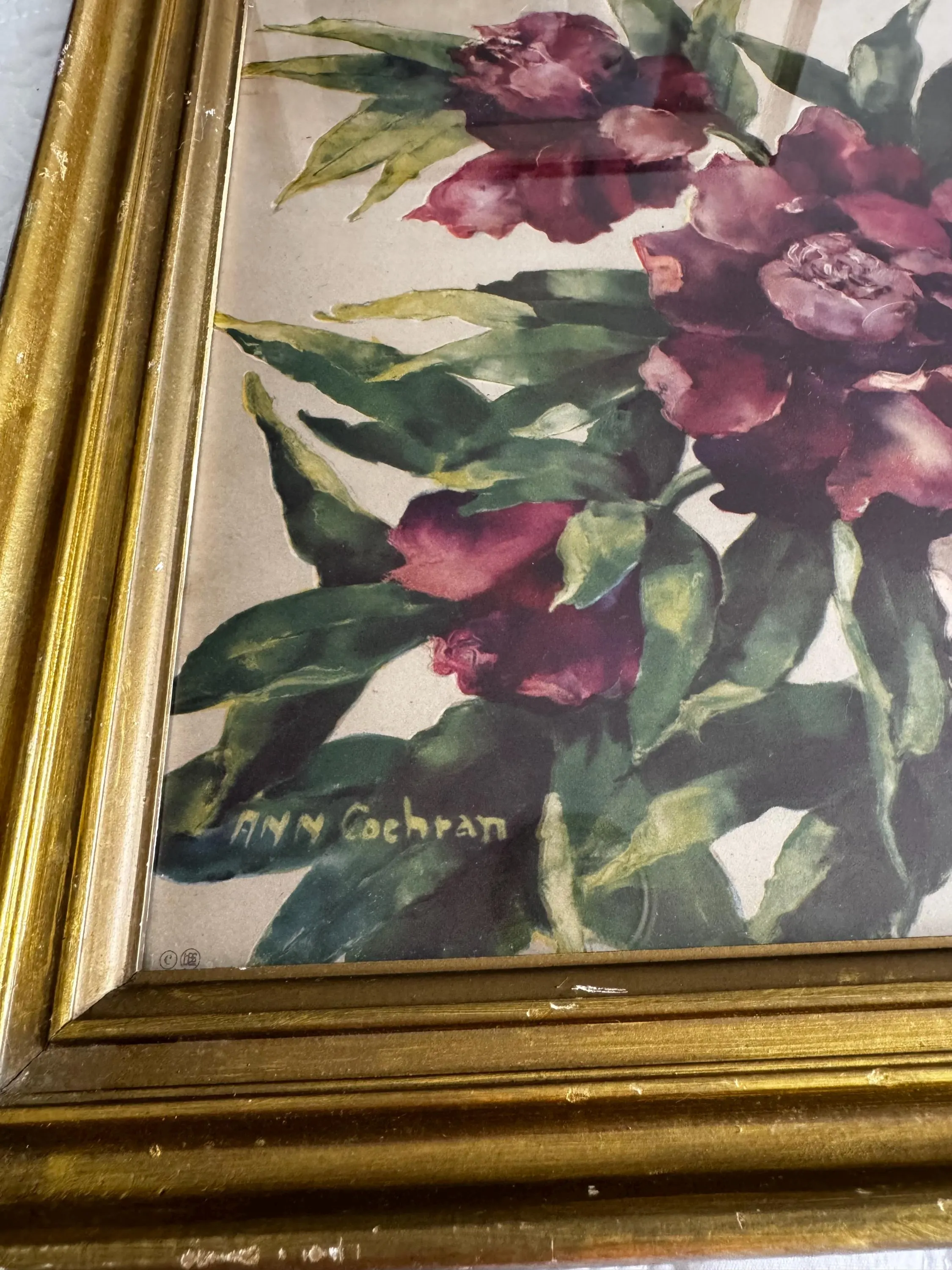 Vintage Ann Cochran Floral Print Gold Frame 1940s Mid Century Flower Wall Art - image 4