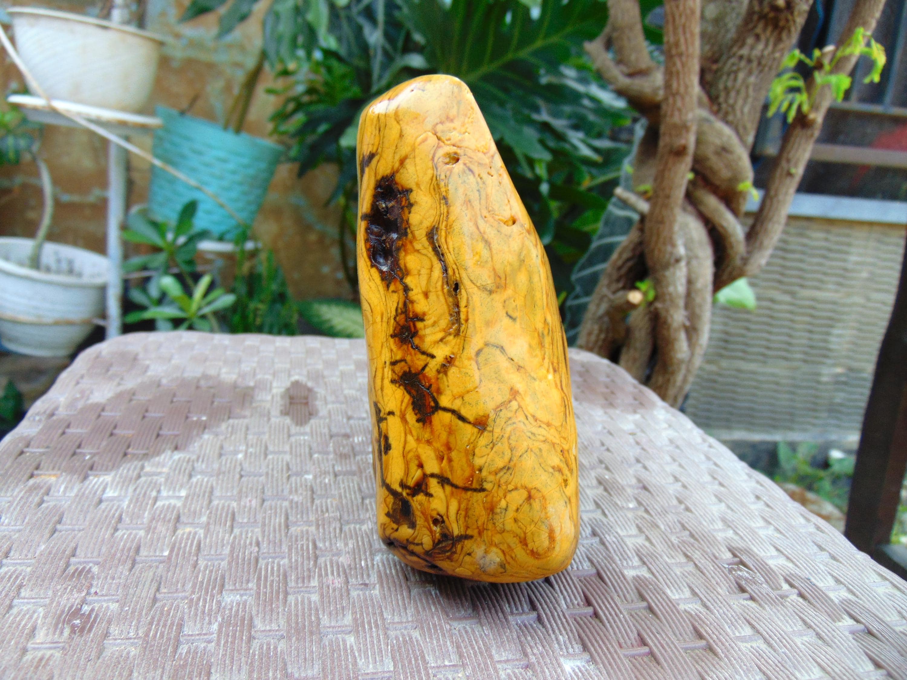 513 gram 150x142x64 mm Full Polished Indonesia Yellow Amber 26KX29 - image 4
