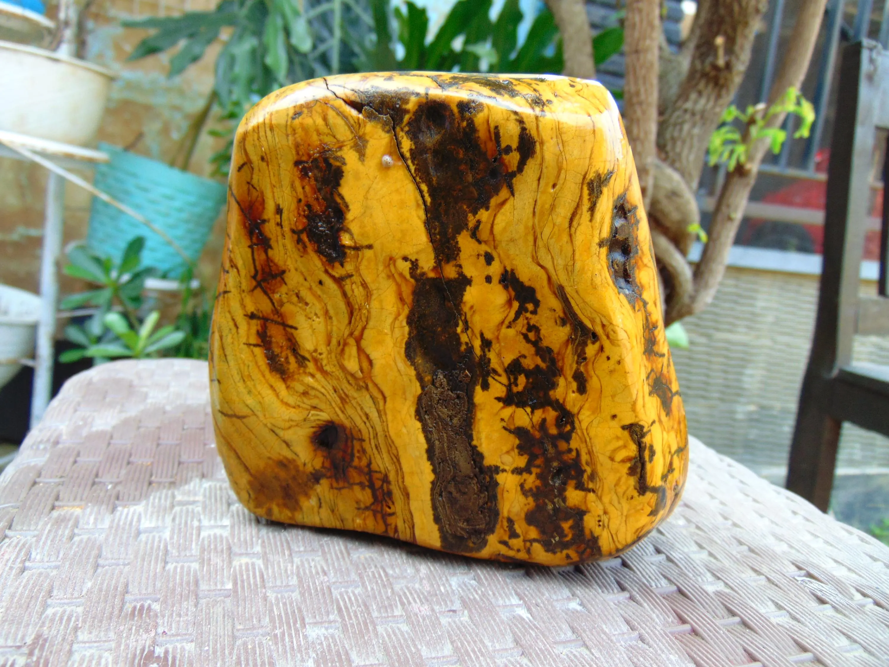 513 gram 150x142x64 mm Full Polished Indonesia Yellow Amber 26KX29 - image 3