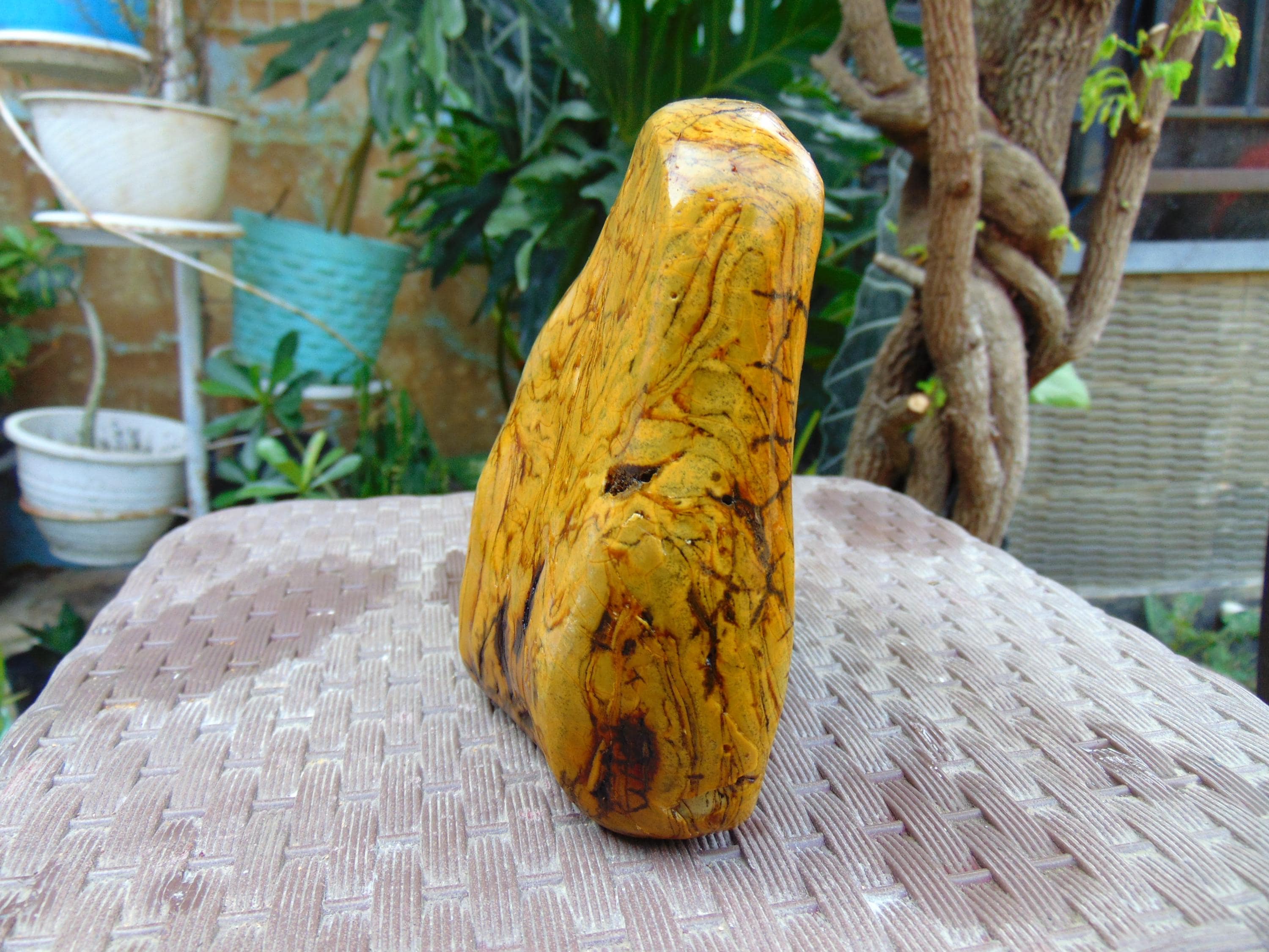 513 gram 150x142x64 mm Full Polished Indonesia Yellow Amber 26KX29 - image 5