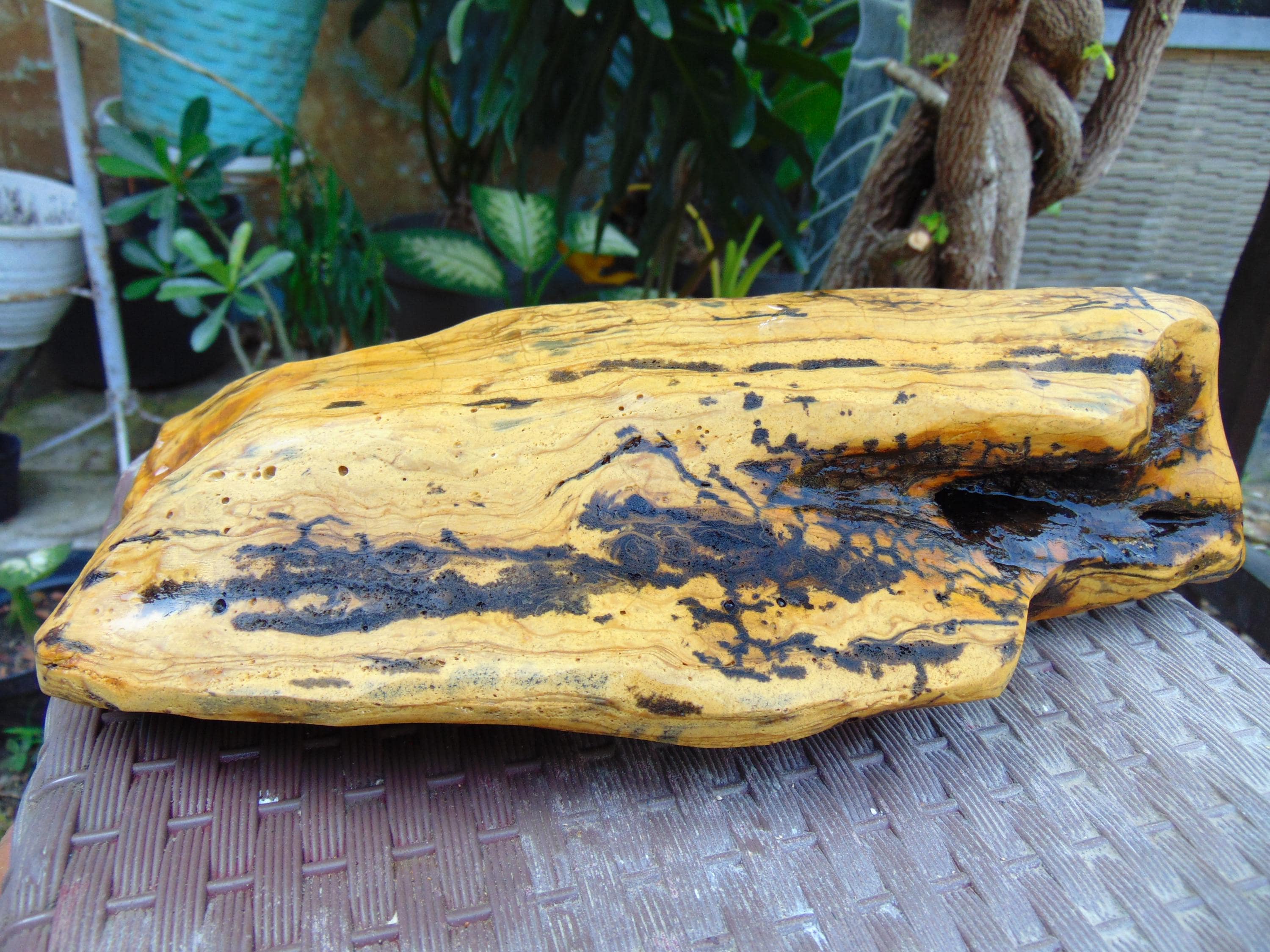 1037 gram 270x110x70 mm Full Polished Indonesia Yellow  Cream Amber 26KX32 - image 4