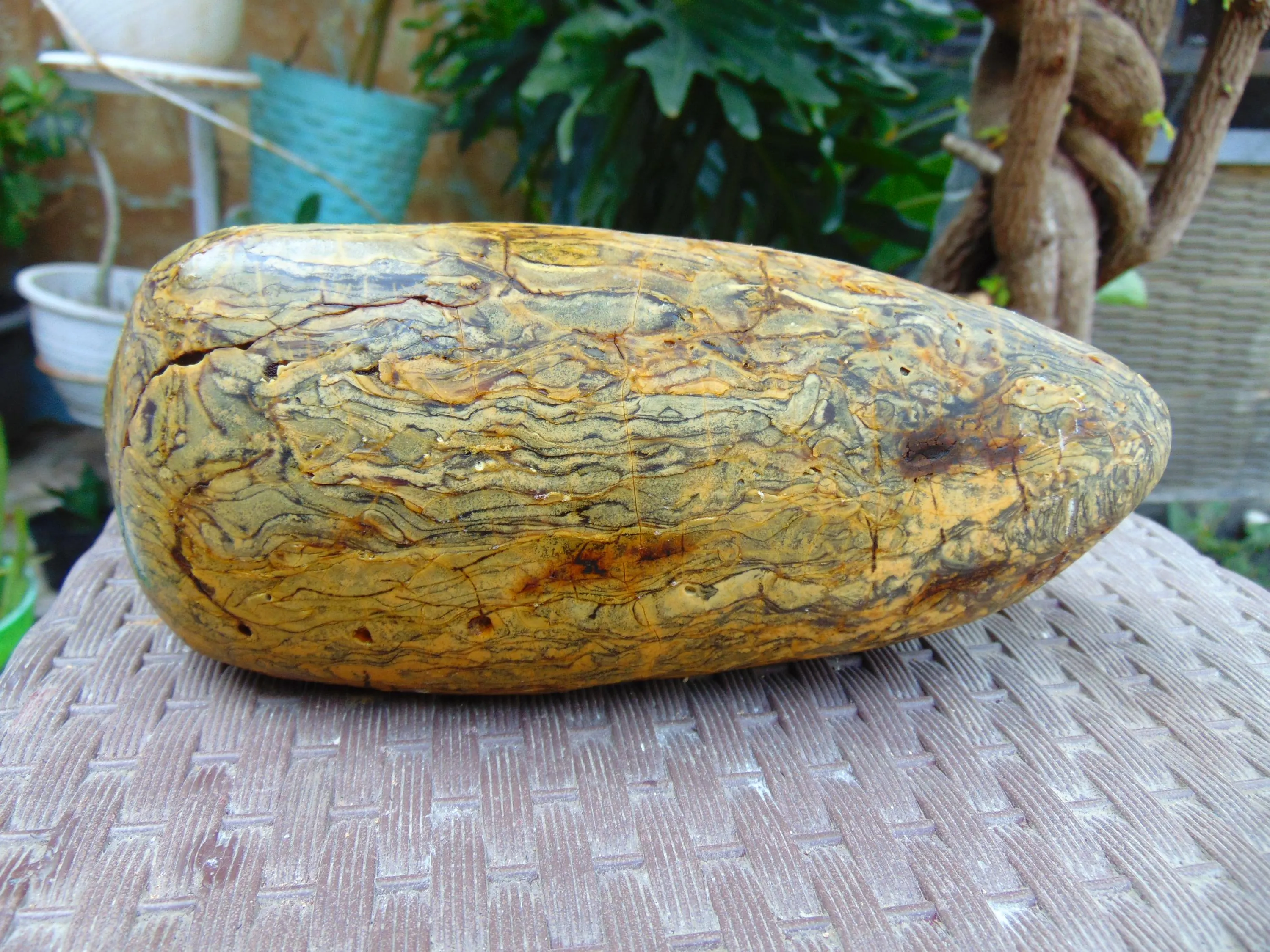 733 gram 170x88x80 mm Full Polished Indonesia Yellow Cream Amber 26KX34 - image 4