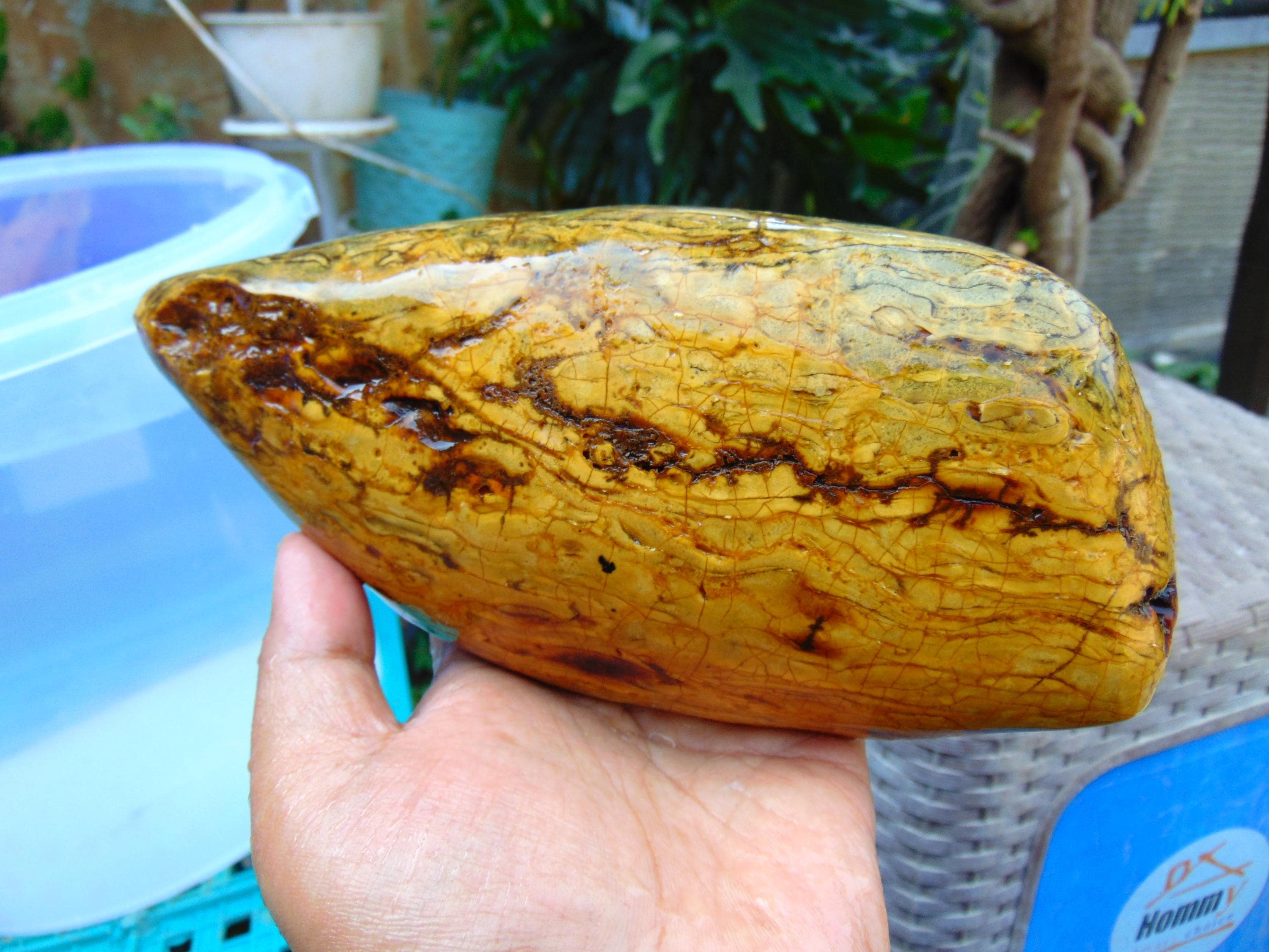733 gram 170x88x80 mm Full Polished Indonesia Yellow Cream Amber 26KX34