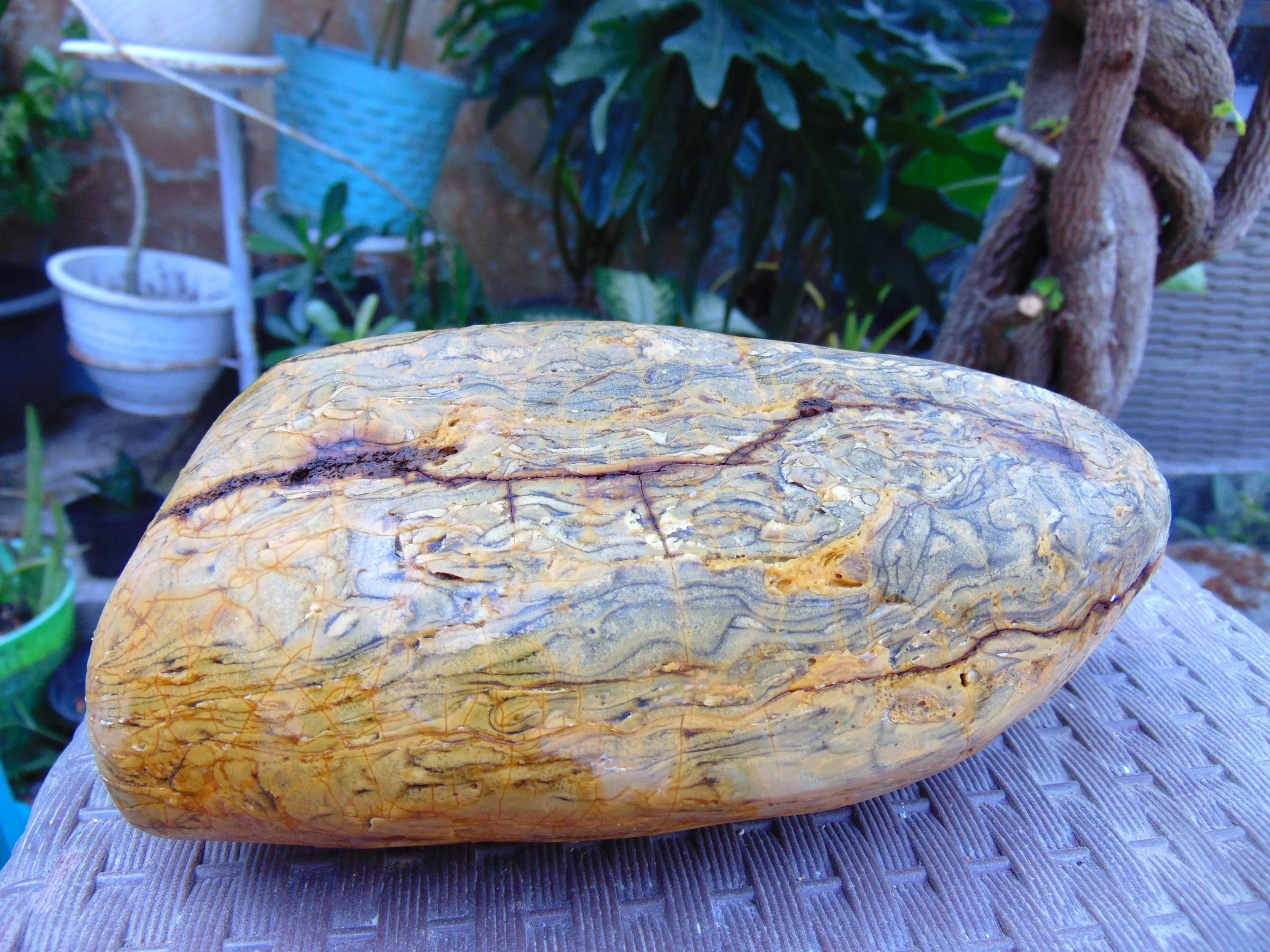 733 gram 170x88x80 mm Full Polished Indonesia Yellow Cream Amber 26KX34 - image 5