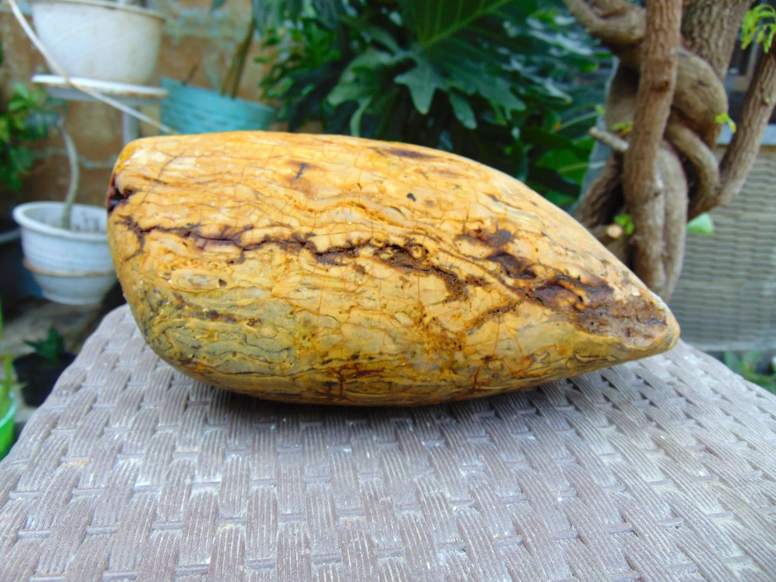 733 gram 170x88x80 mm Full Polished Indonesia Yellow Cream Amber 26KX34 - image 3