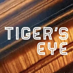 TigersEyeGallery