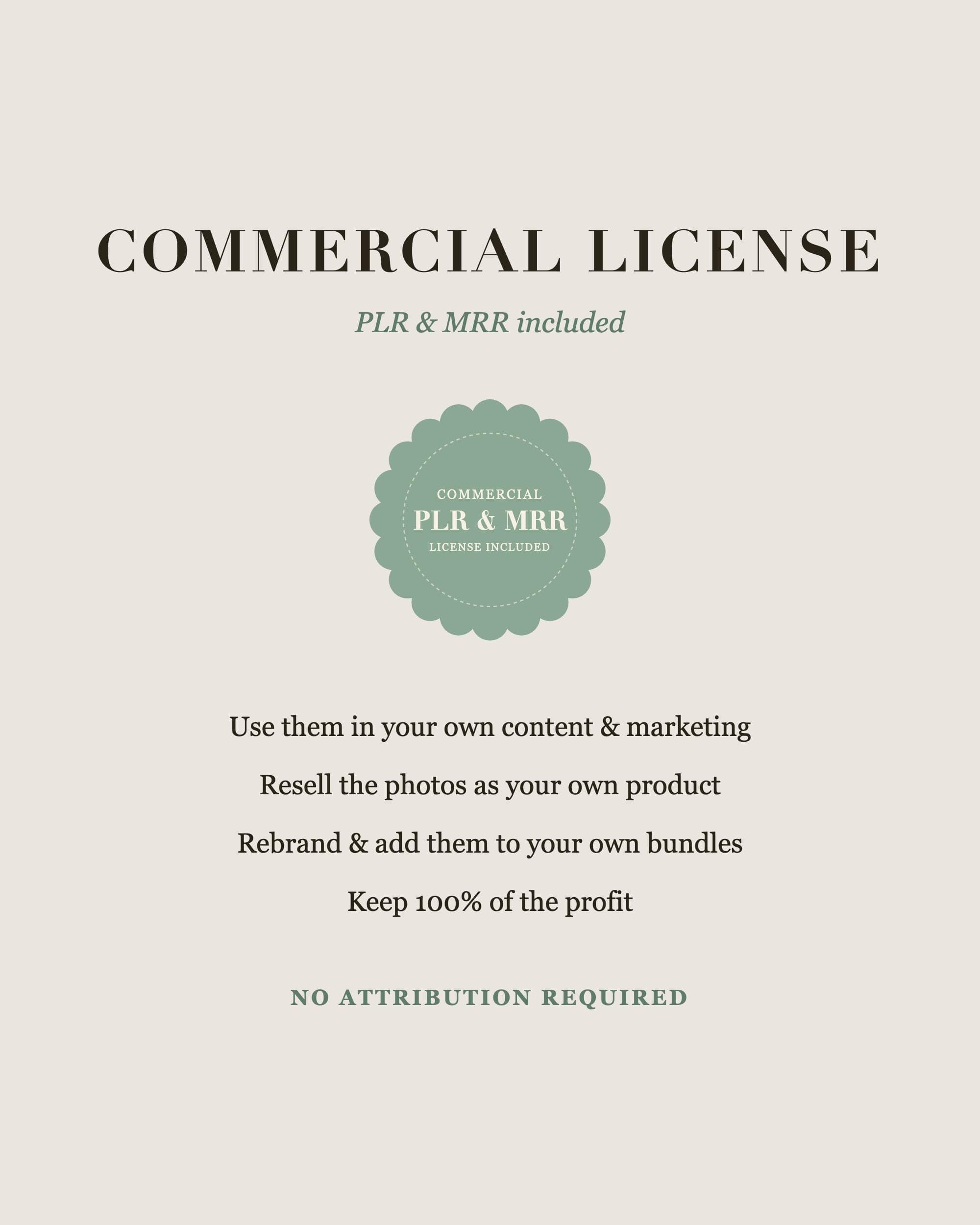 Beige Christmas Stock Photos MRR PLR, 97 Cream Neutral Faceless Winter Images, Cozy Cabin Snow Instagram Photo Bundle - image 4