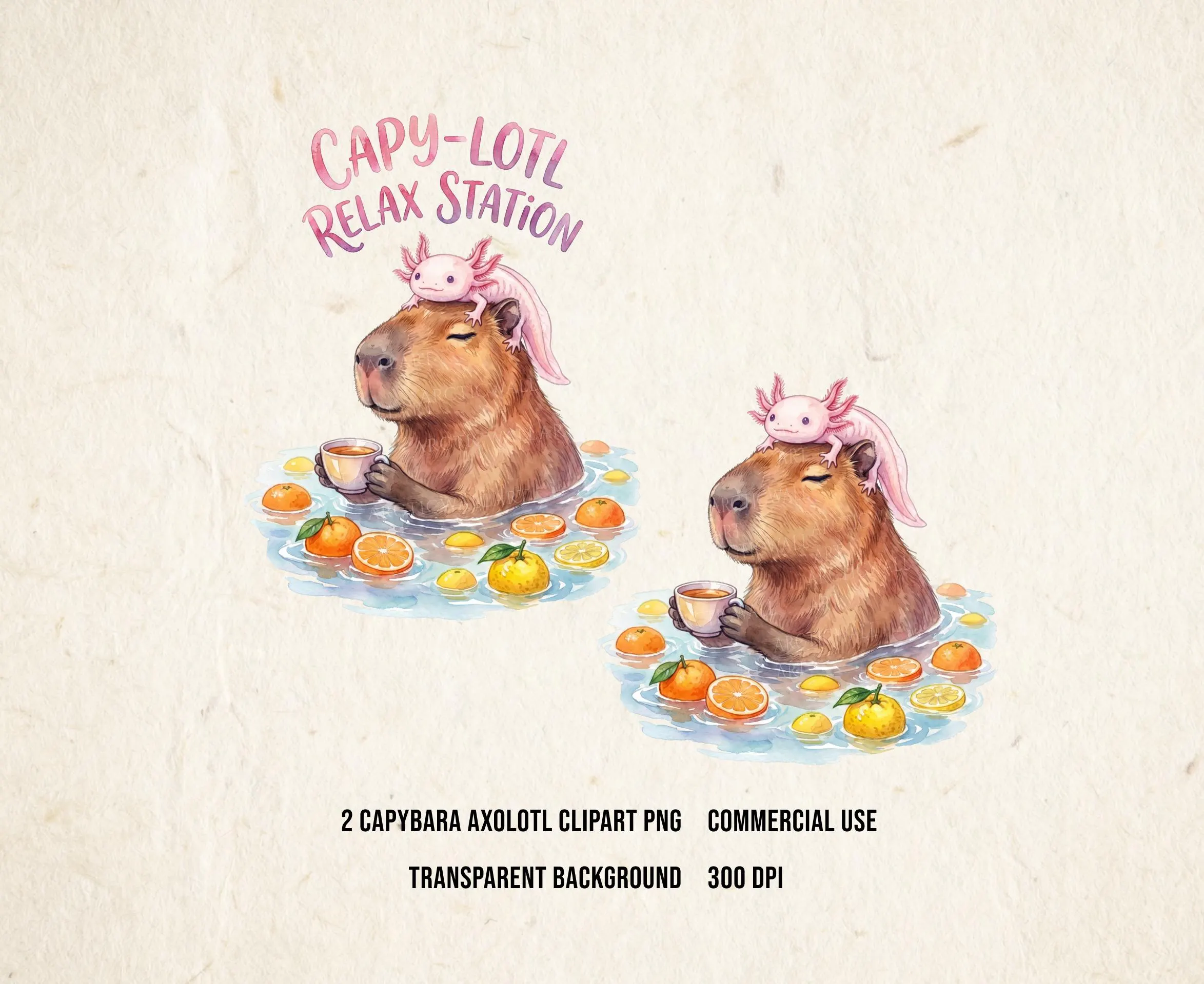 Capybara Axolotl PNG | Capybara Clipart | Axolotl PNG | Meme Shirt | Trending Designs