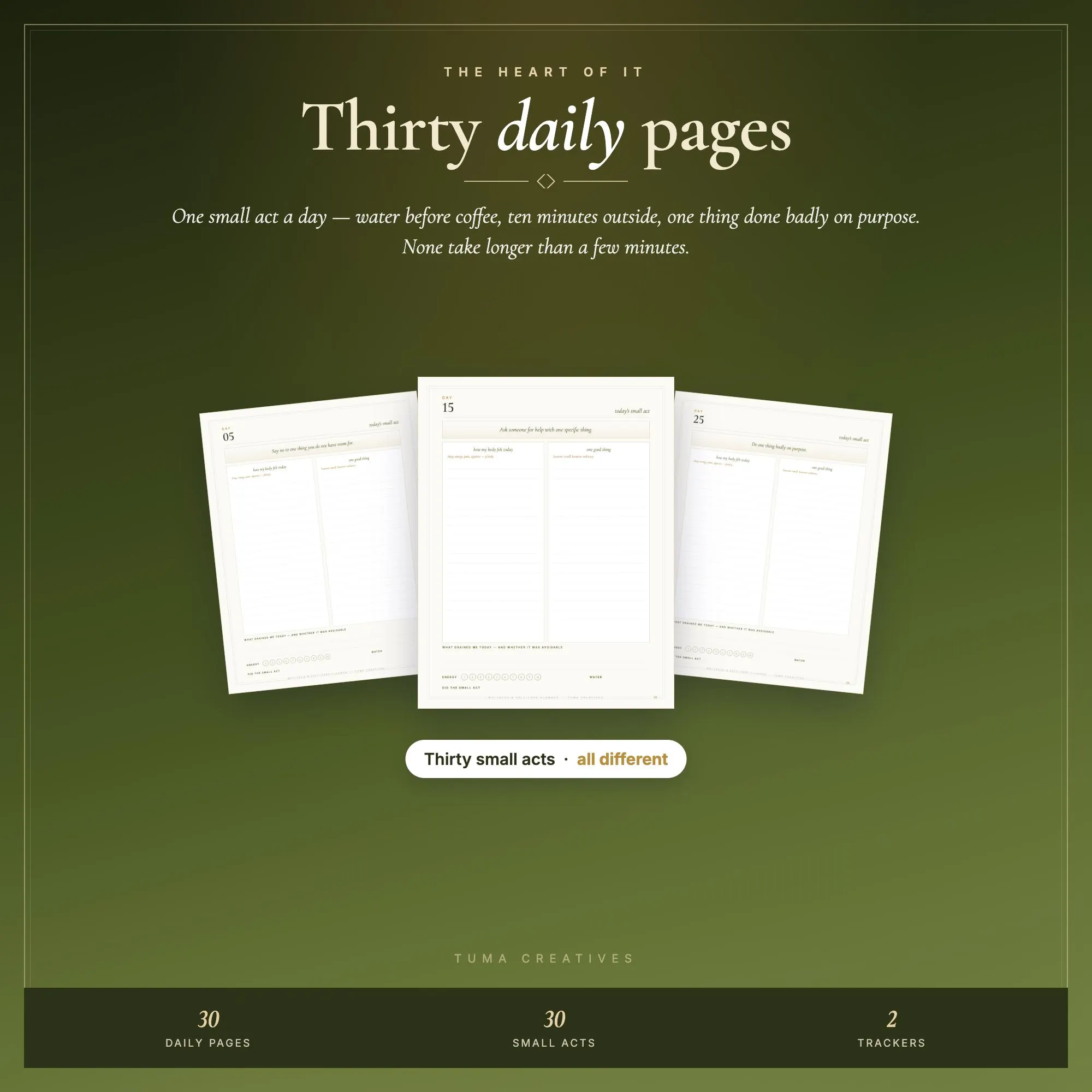 Wellness & Self Care Planner | 43 Pages | 30 Daily Pages, Habit Mood Trackers | Goodnotes iPad | Printable Digital Download - image 4