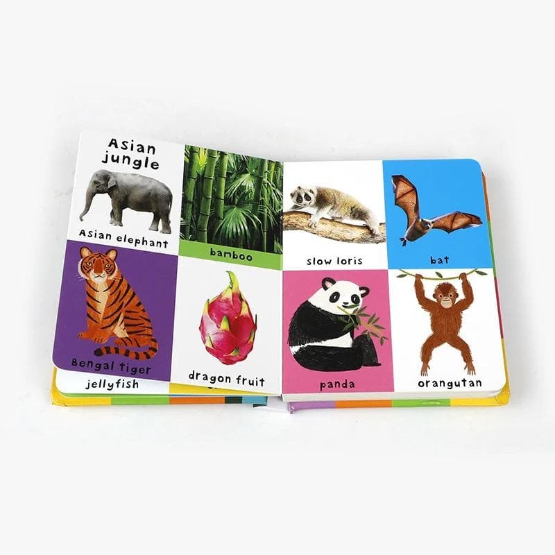 First 100 Nature Words Board Book | Toddler Vocabulary, Early Literacy (Priddy Books) - image 4