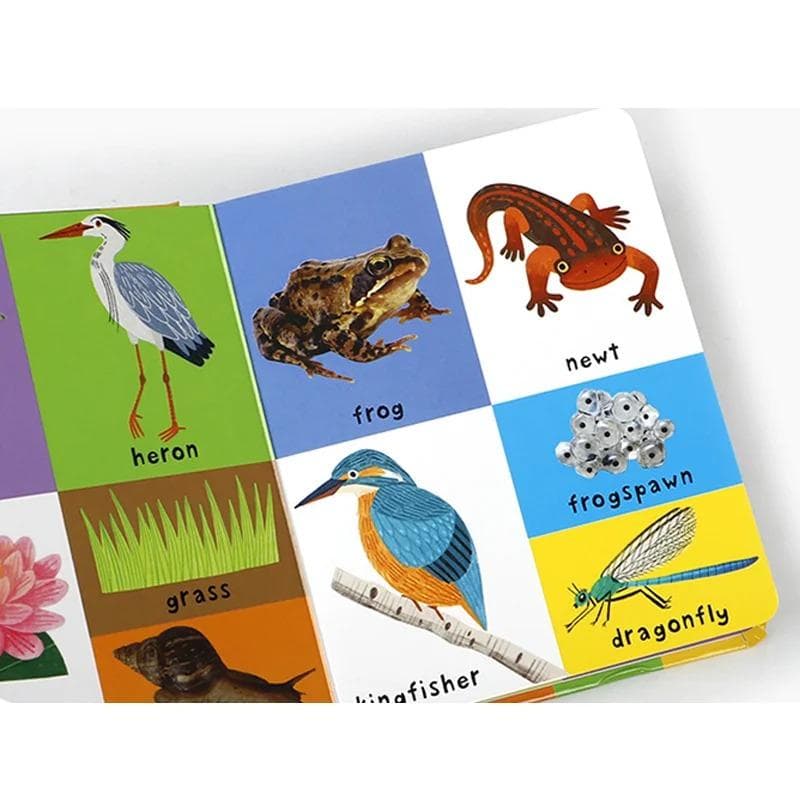 First 100 Nature Words Board Book | Toddler Vocabulary, Early Literacy (Priddy Books) - image 3