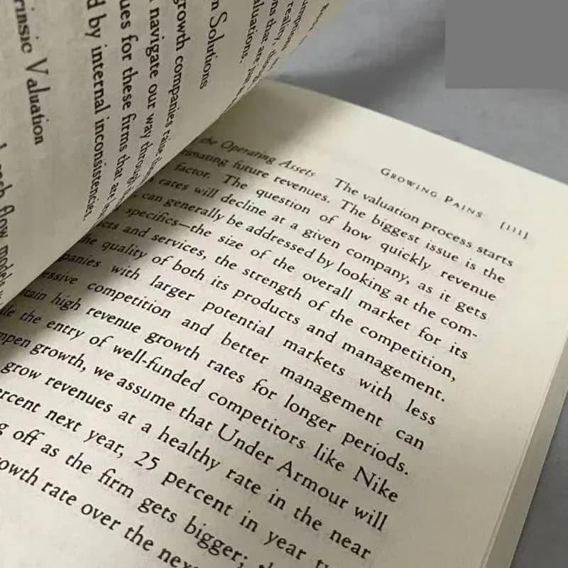 The Little Book of Valuation: Company Valuation & Investing Guide - image 3