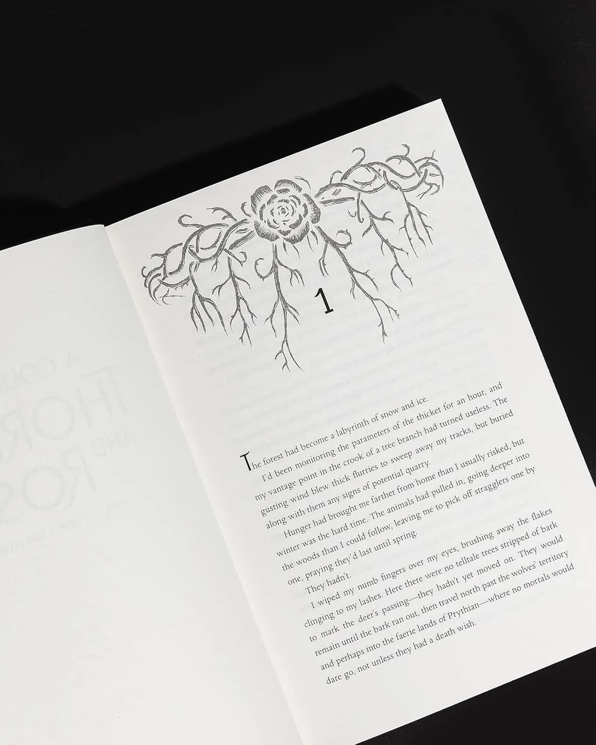 Sarah J. Maas A Court of Thorns Roses Collector's Edition (Hardcover) - image 2