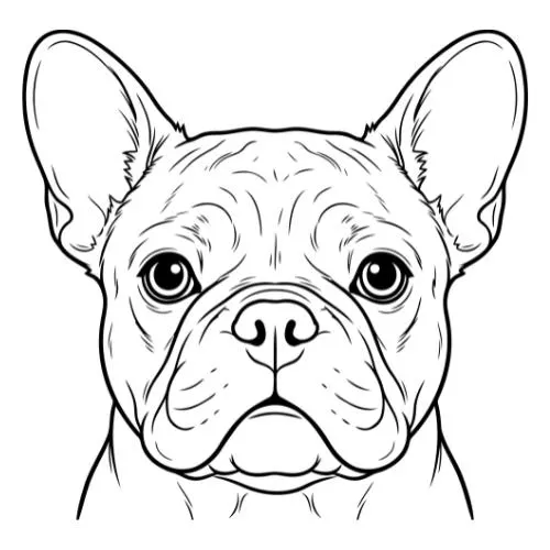 Frenchie Svg, Dog Svg, French Bulldog Svg File, Frenchie Cut File, Animal Face Svg, Cute Dog Svg, Dog Face Svg, Instant Download